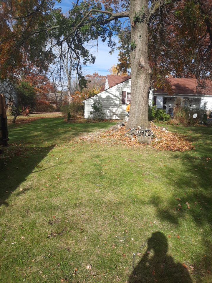 Tree Removal using Tree Removal by Mike Jones & Sons Tree Service LLC 