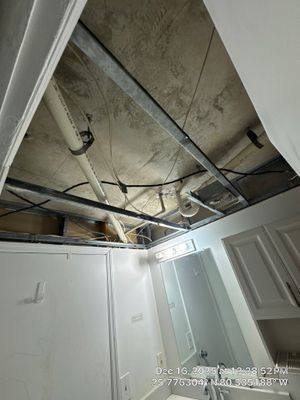 MOLD