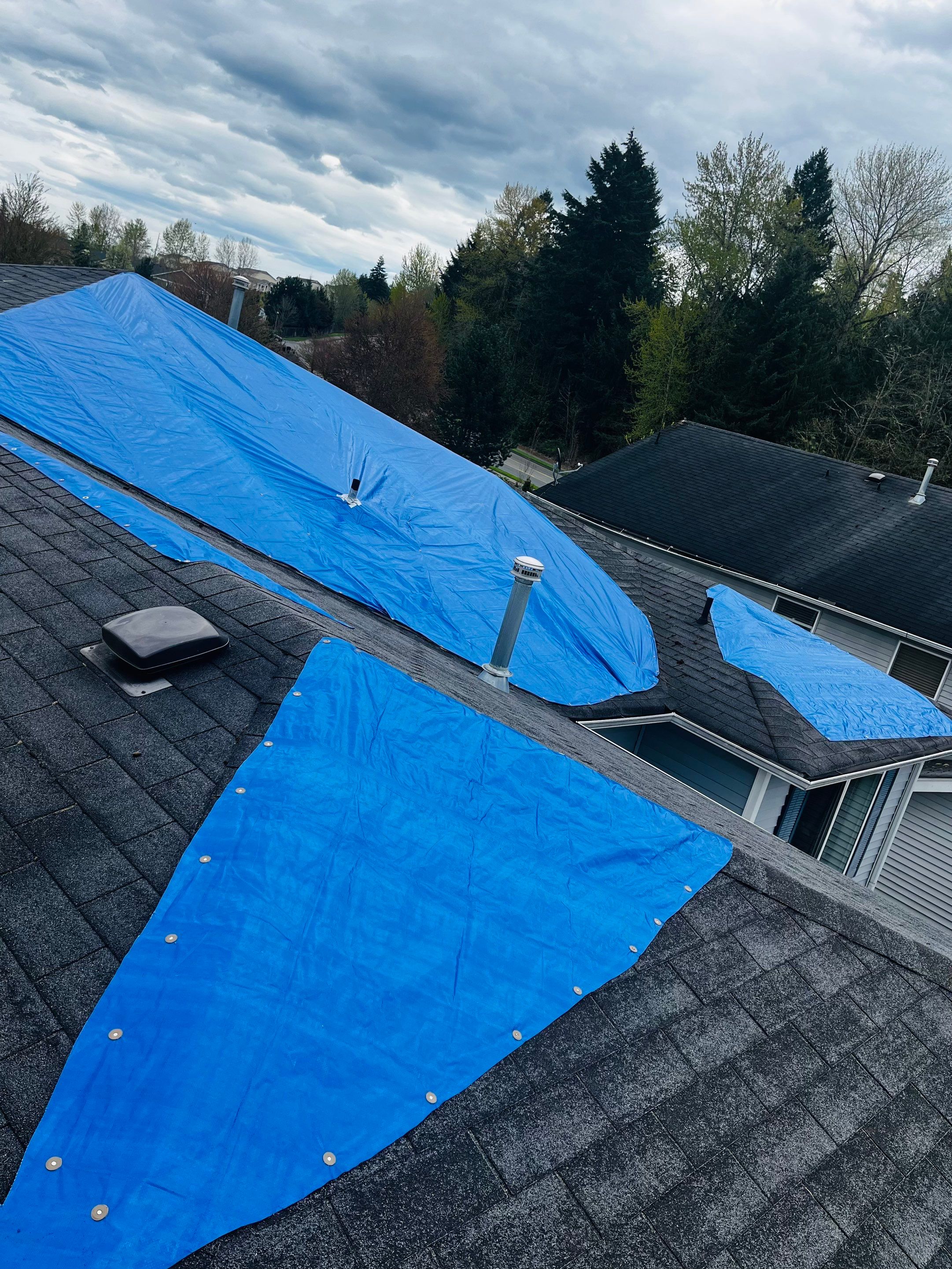 GAF Timberline HDZ, Charcoal  by Proline Roofing & Restoration LLC