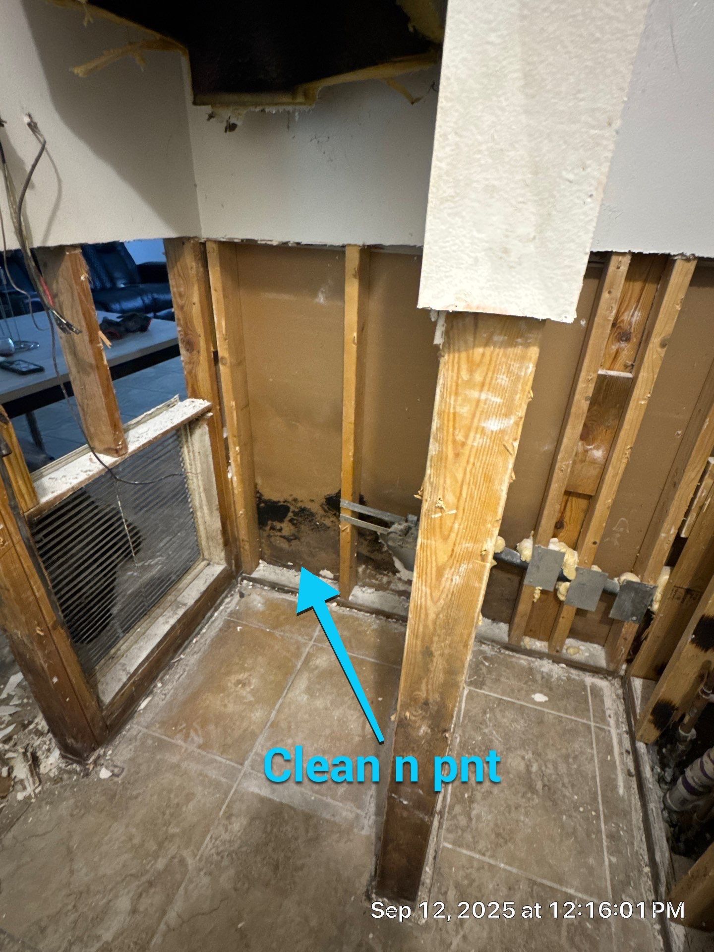 mold remediation by SuperClean