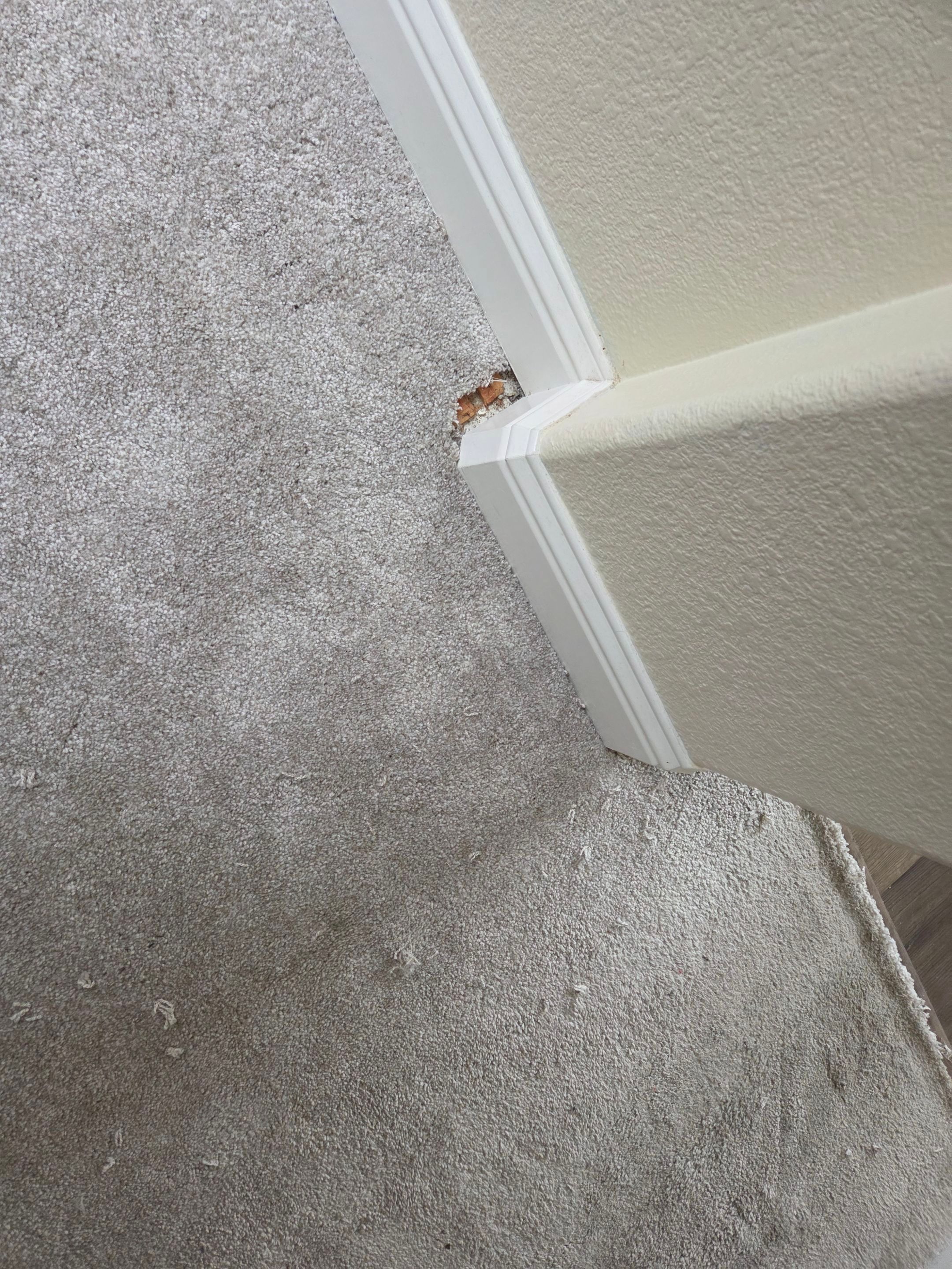 Carmichael Carpet Re-stretching and Cleaning by Ardent Carpet Restore LLC