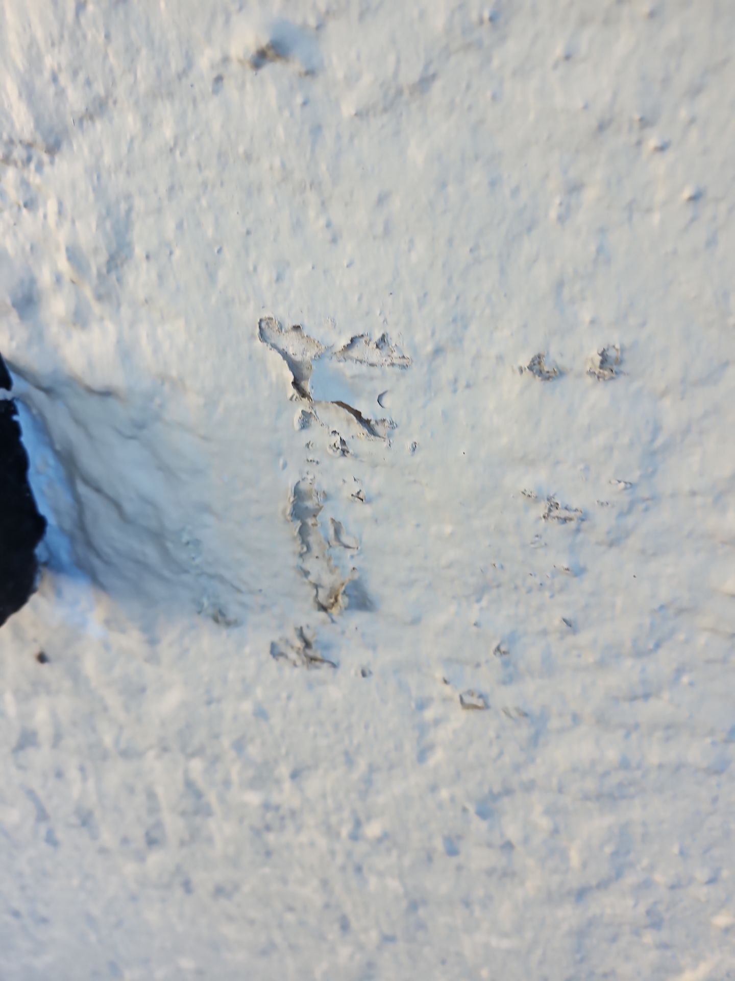 Project in Largo by Sunbelt Home Solutions