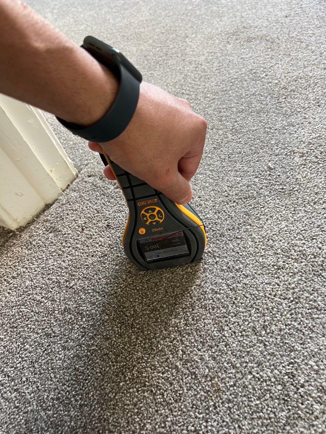 Project in Novi by EzDry Water Mitigation & Property Restoration