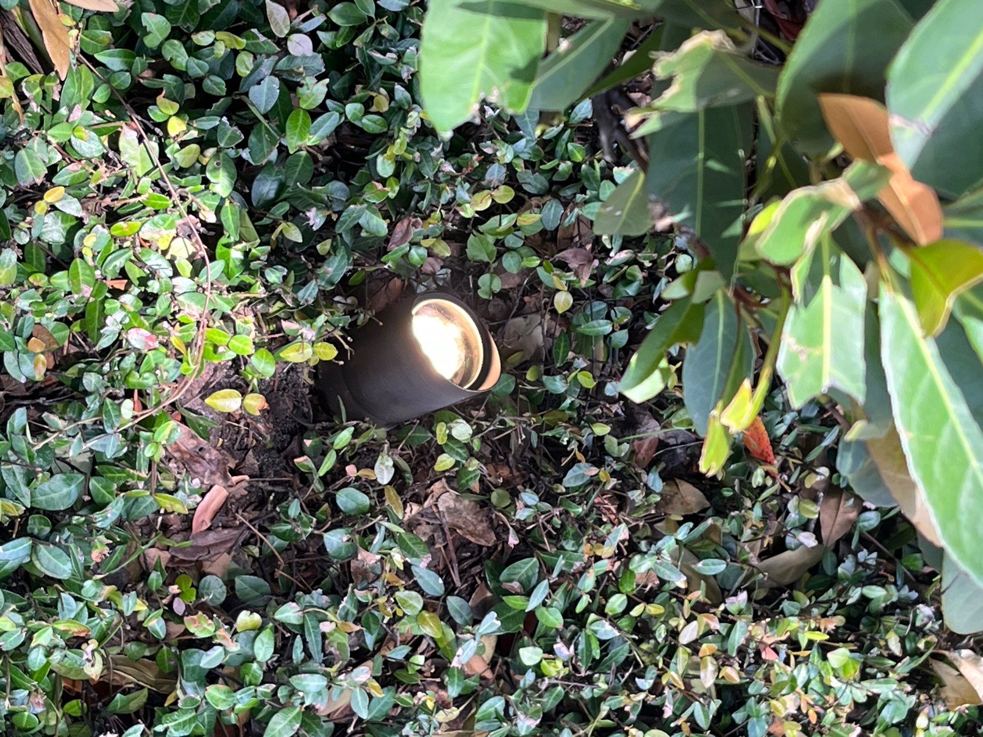 Lighting Repair in Winter Park by Smartron Electric