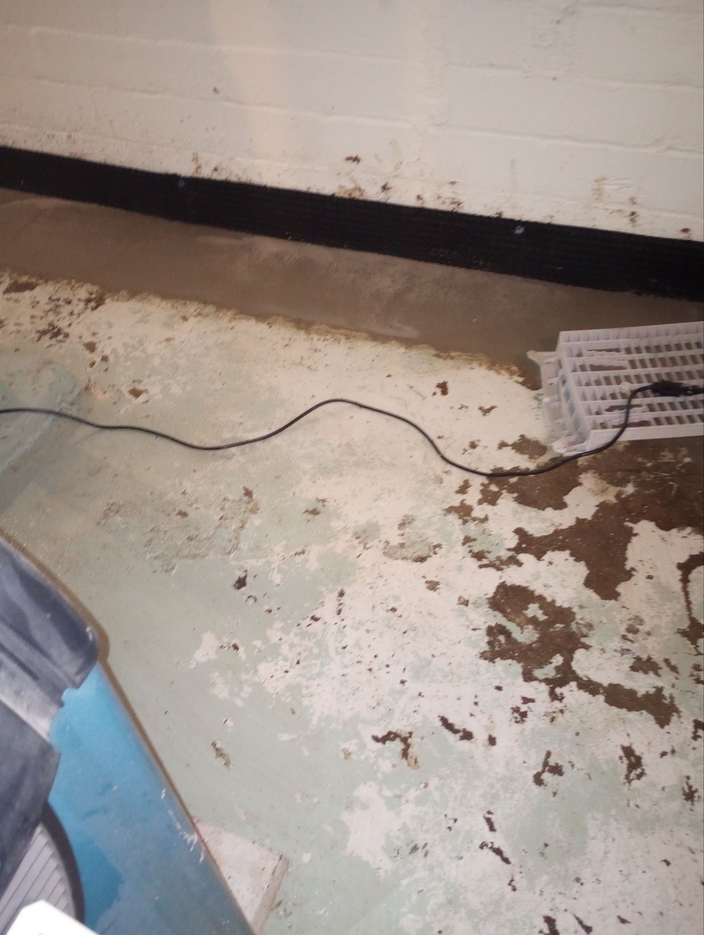 Helping Diane Protect Her Home by Waterproofing Northeast
