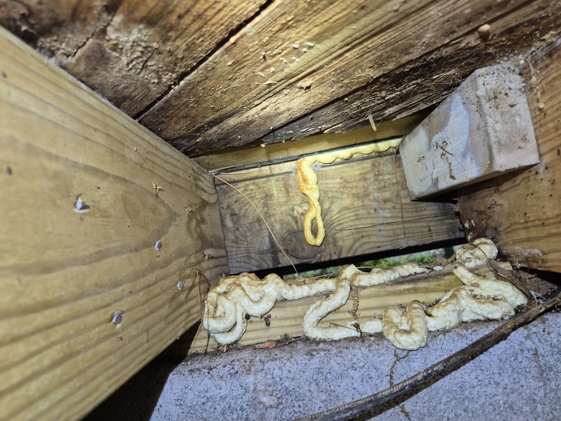 Project in Norfolk by Patriot Crawl Space Repairs