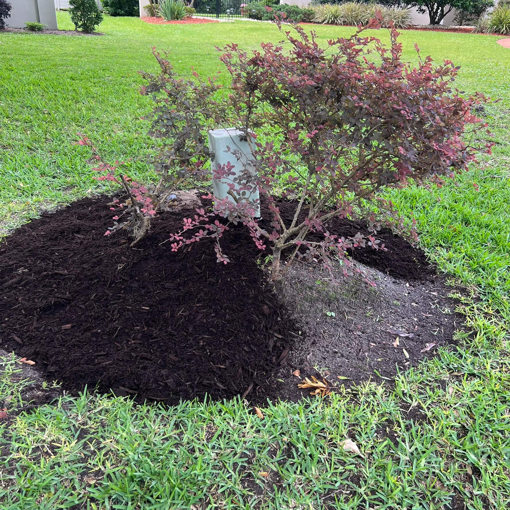 Plant & Mulch Installation | Deerwood Country Club by ProGreen Services