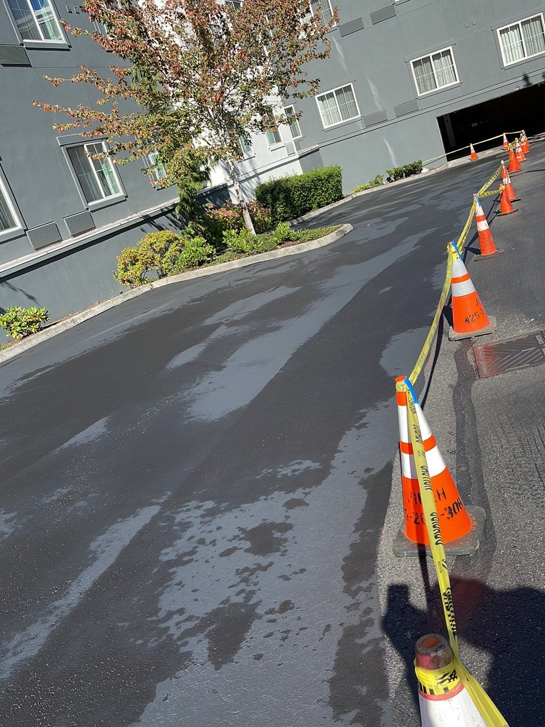 Maggie | Patch Repair, Sealcoating and Striping by Jireh Asphalt & Concrete Inc 