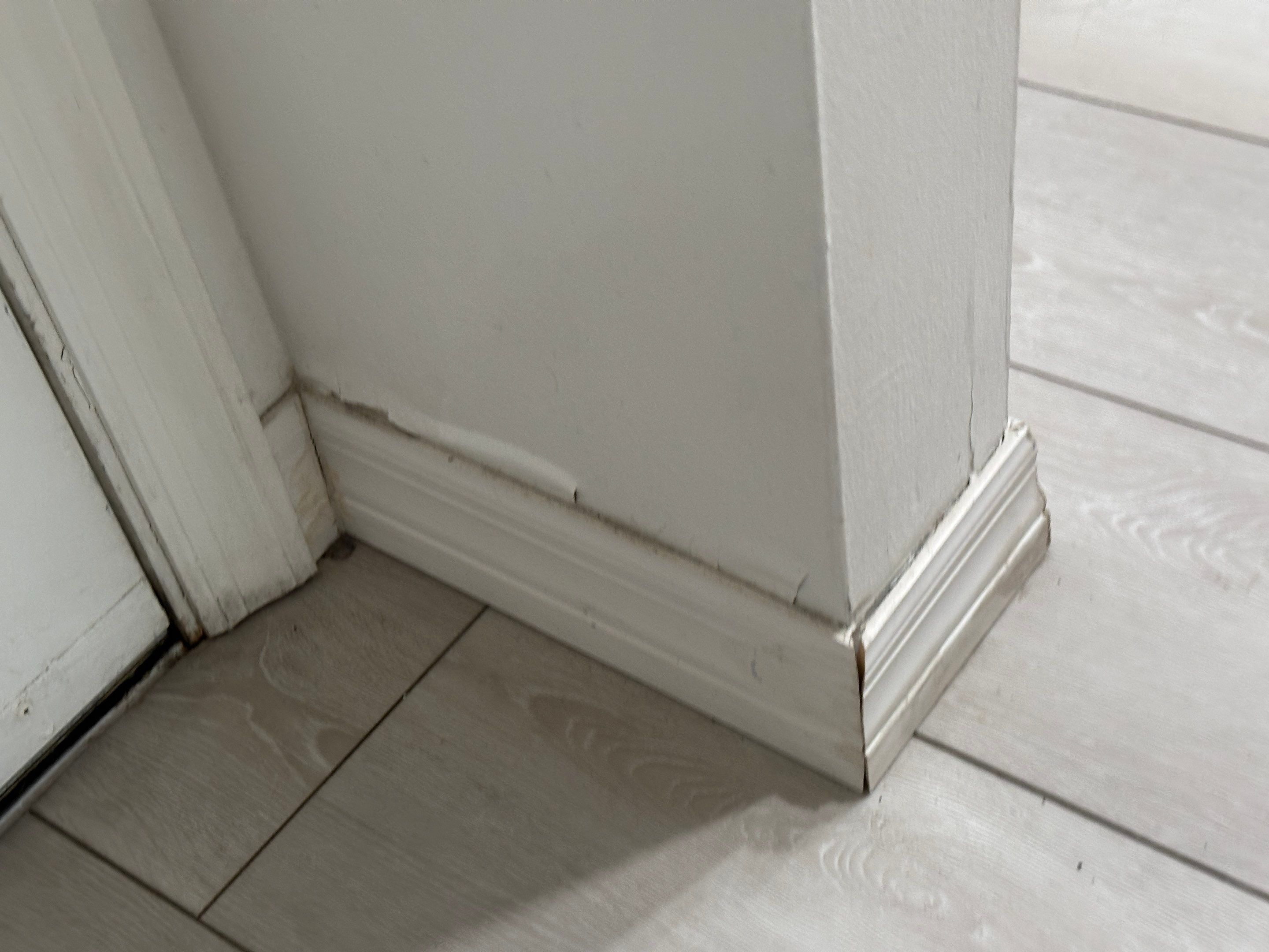 Water Damage Claim in Pembroke Pines by FLAPA & KeyStone