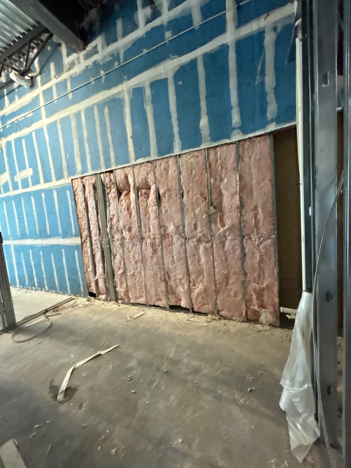 Parrish Mold Removal & Remediation  by Ampm Restoration Services 