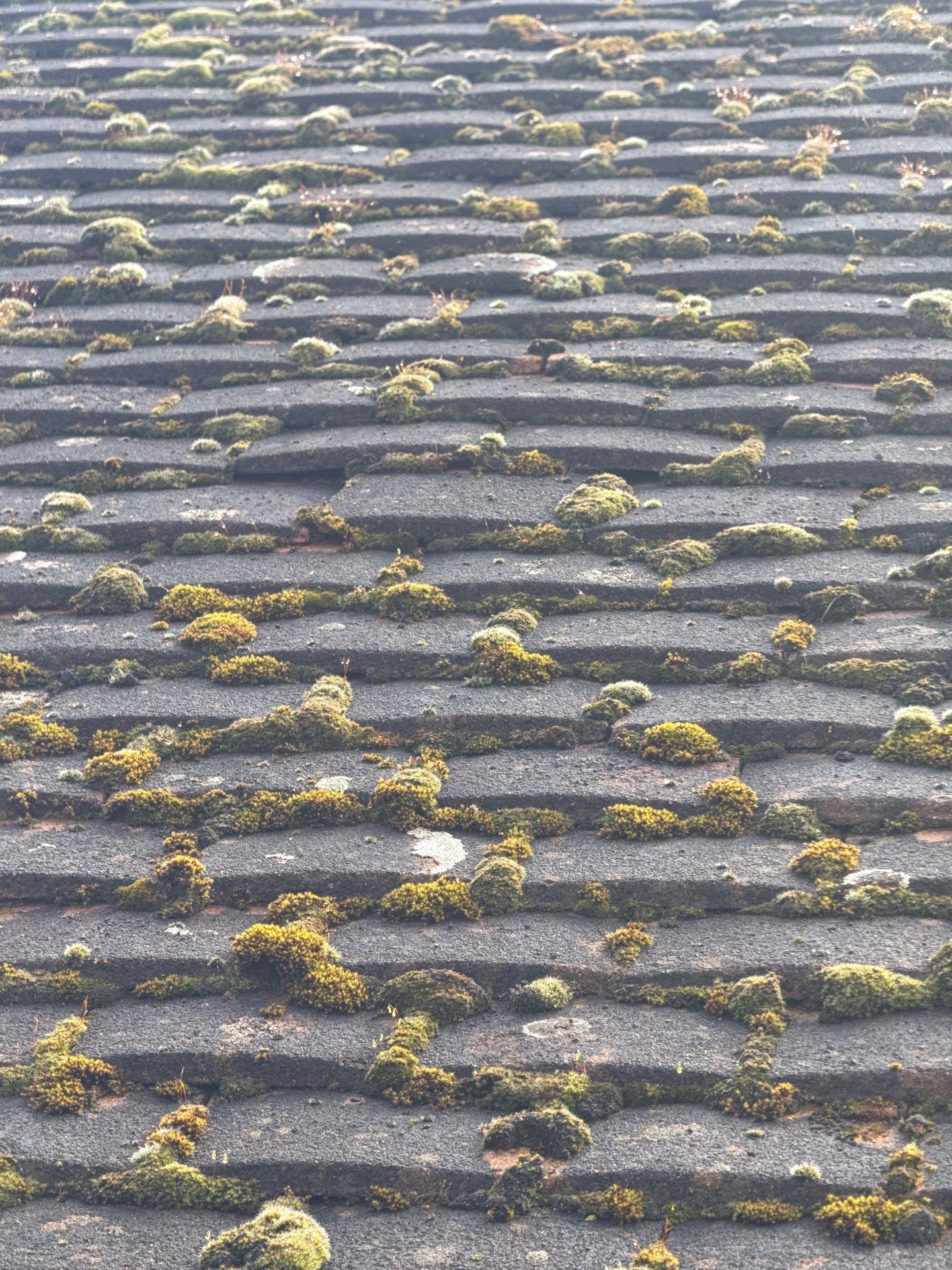Exterior Clean - Roof - Patio - Driveway using Honda 15lpm Low Pressure Washing Machine by Ges Exterior Cleaning ltd