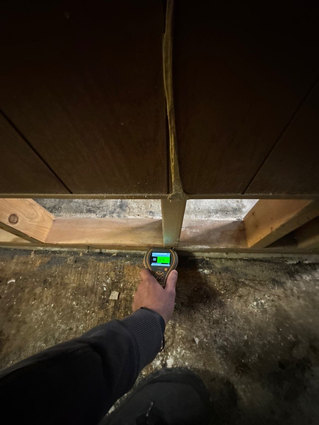 Project in Royal Oak by EzDry Water Mitigation & Property Restoration