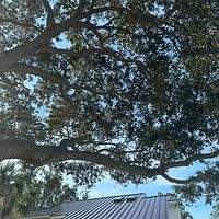24ga 1.5" Mechanical Seam Mansard brown by Total Roofing System The Metal Roof Experts