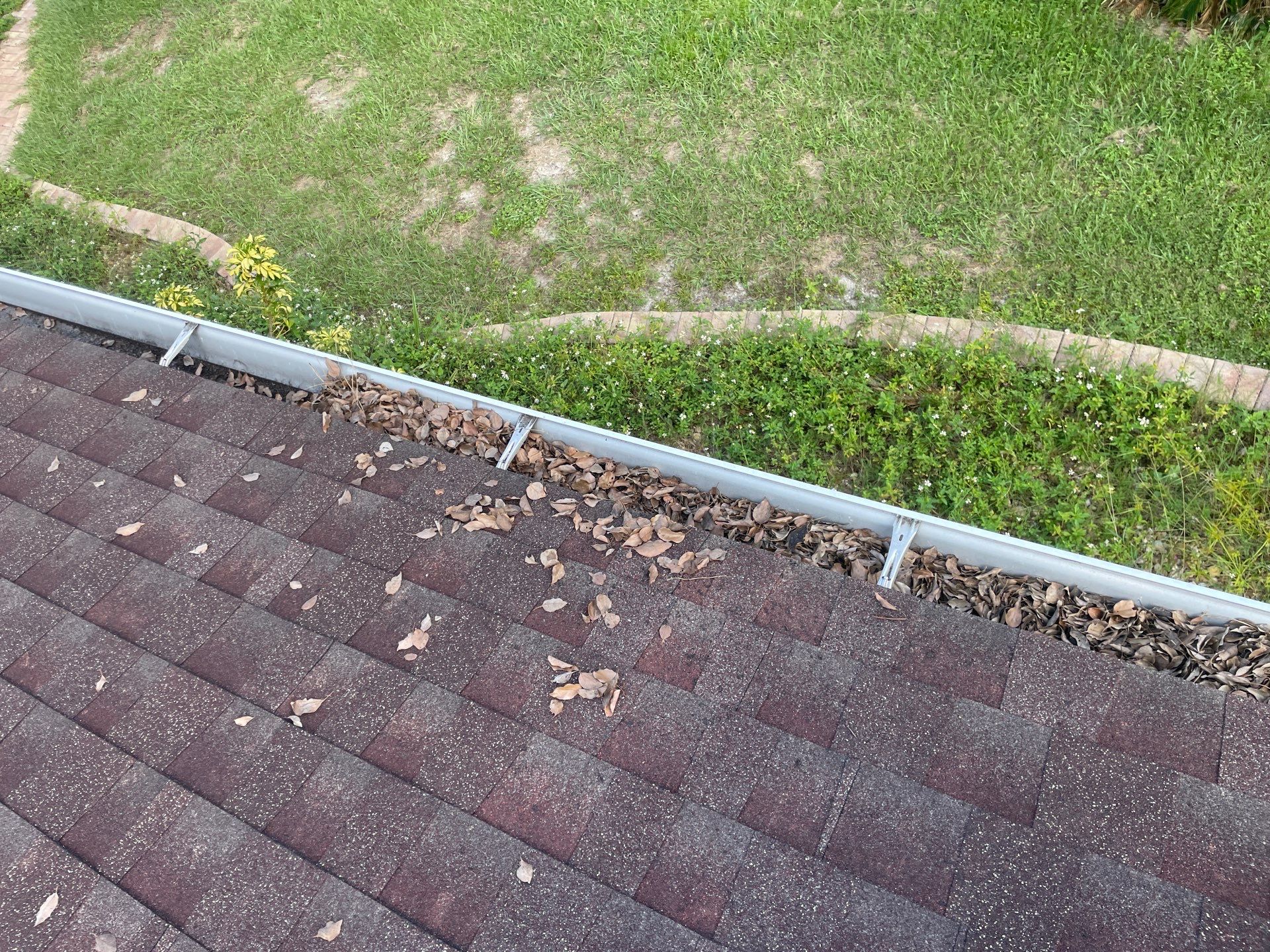 Gutter Cleaning in Brandon FL by Gutter Professors