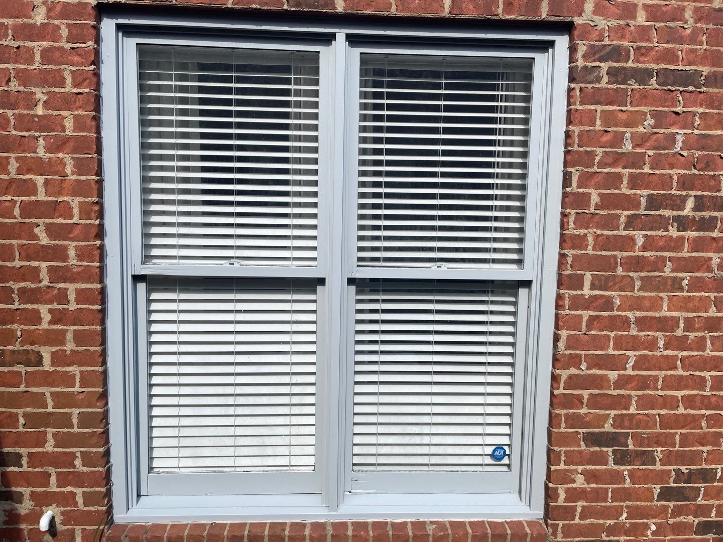 Downing Park - Paint by Pillar and Pine