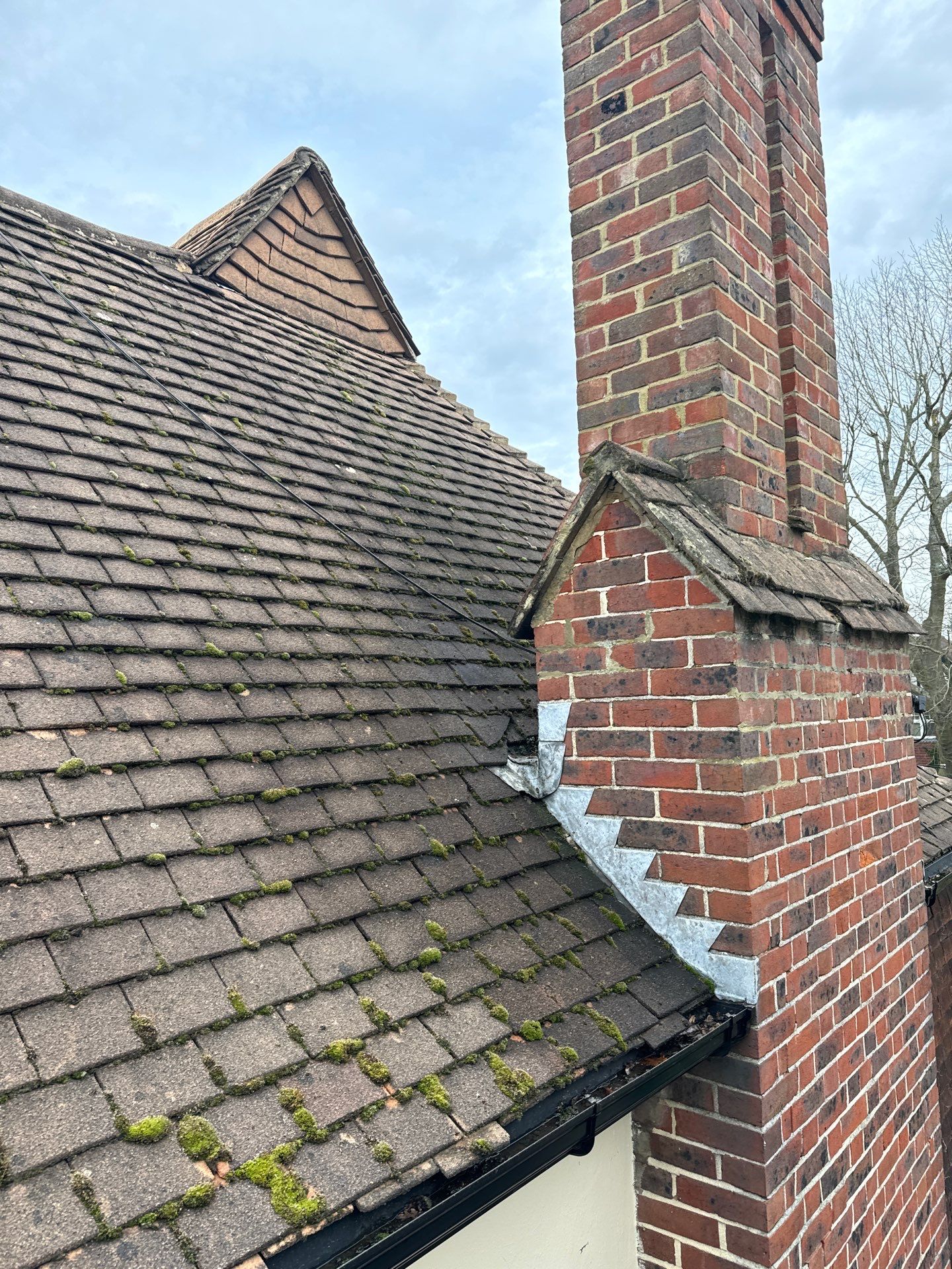 Roof and Patio Cleaning using Honda 15lpm Low Pressure Washing Machine by Ges Exterior Cleaning ltd