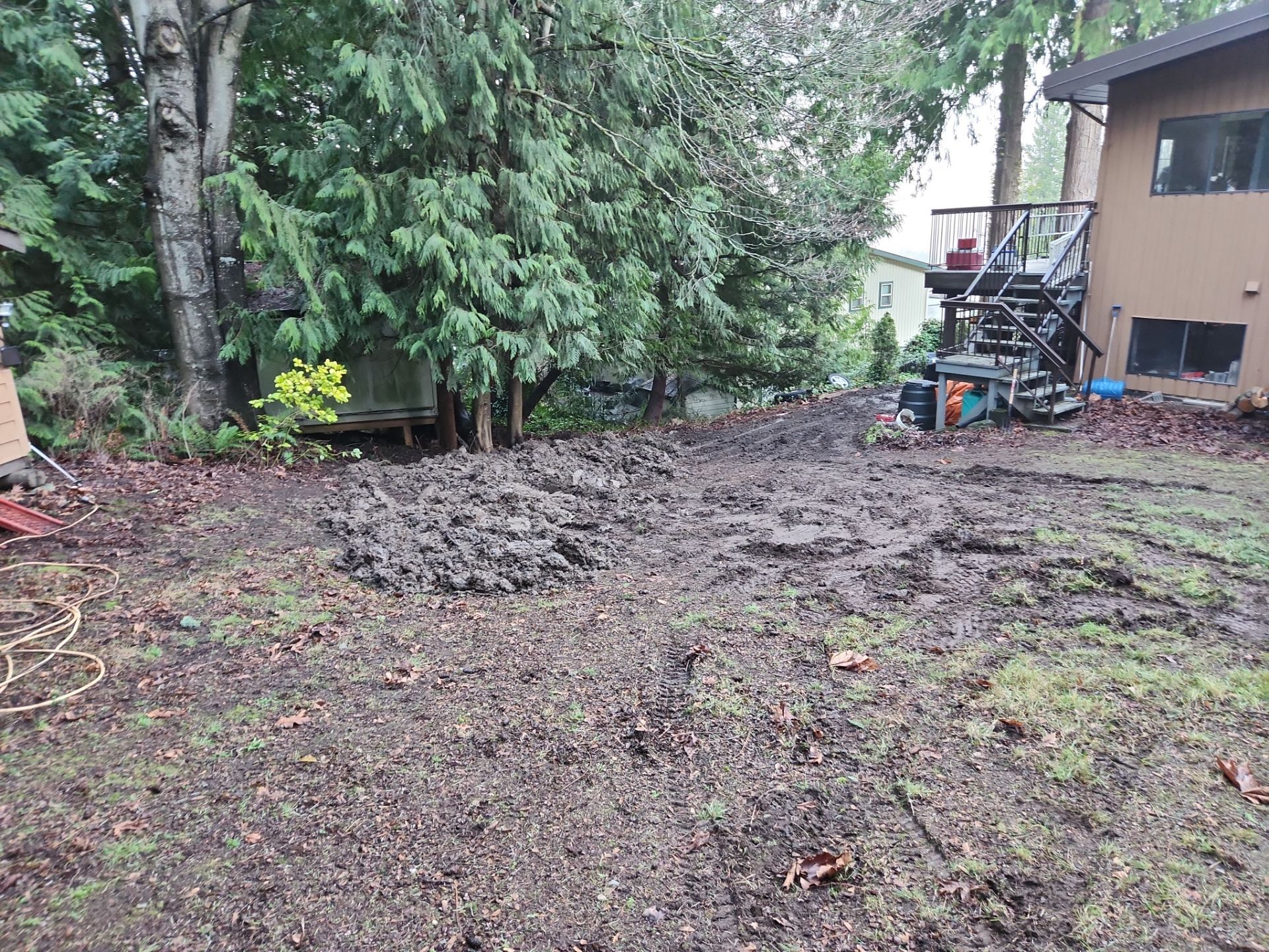 Complete Backyard Transformation with Eco-Lawn, Xeriscape, and New Chain Link Fence Installation by Habanero Garden and Exterior Care