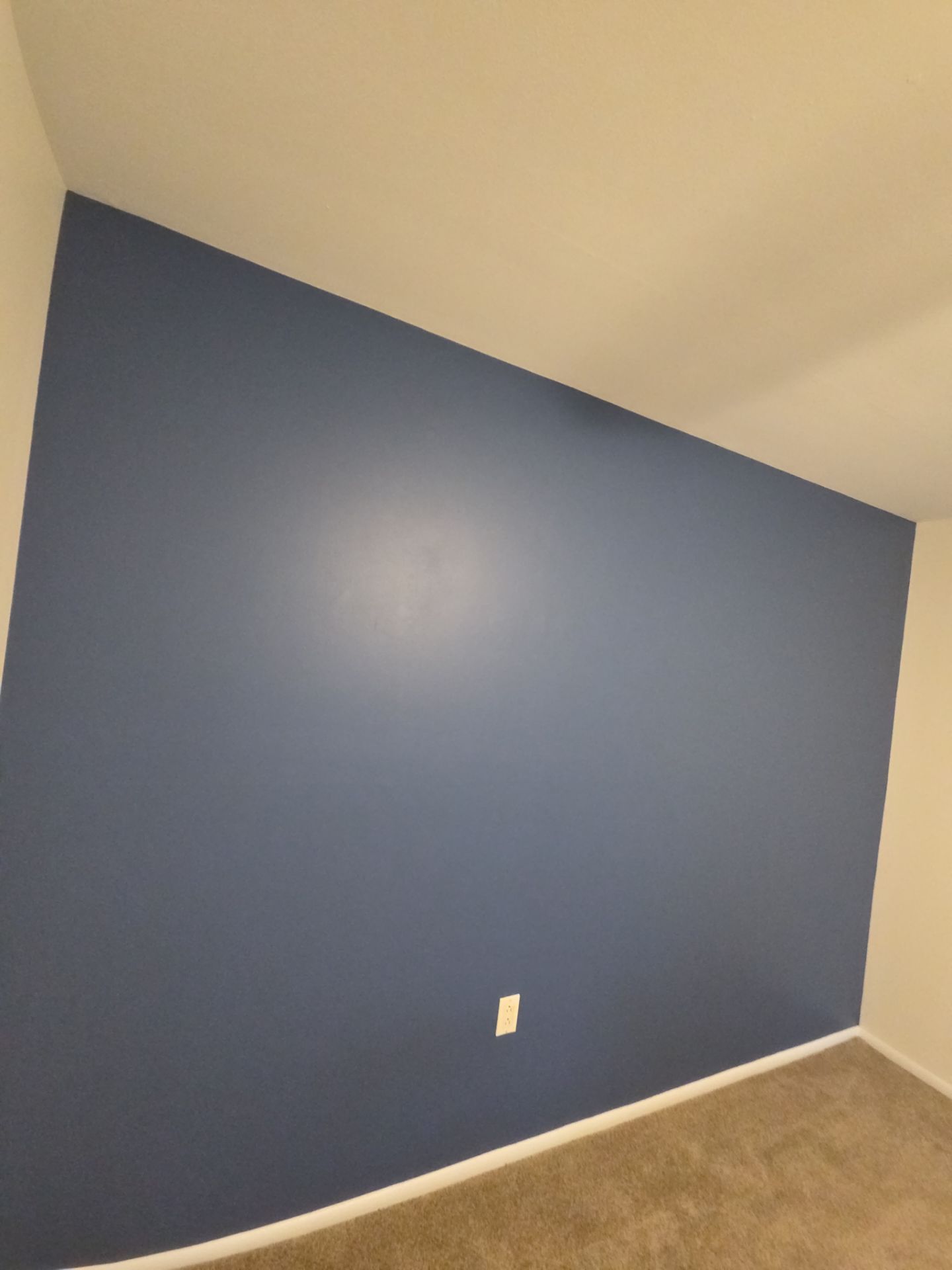 Whole Home Interior Refresh in Ambler by Groovy Hues