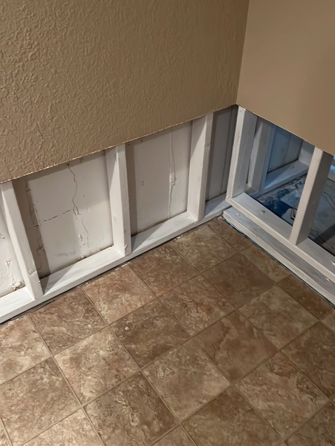 Mold Damage by Accountable Home Services