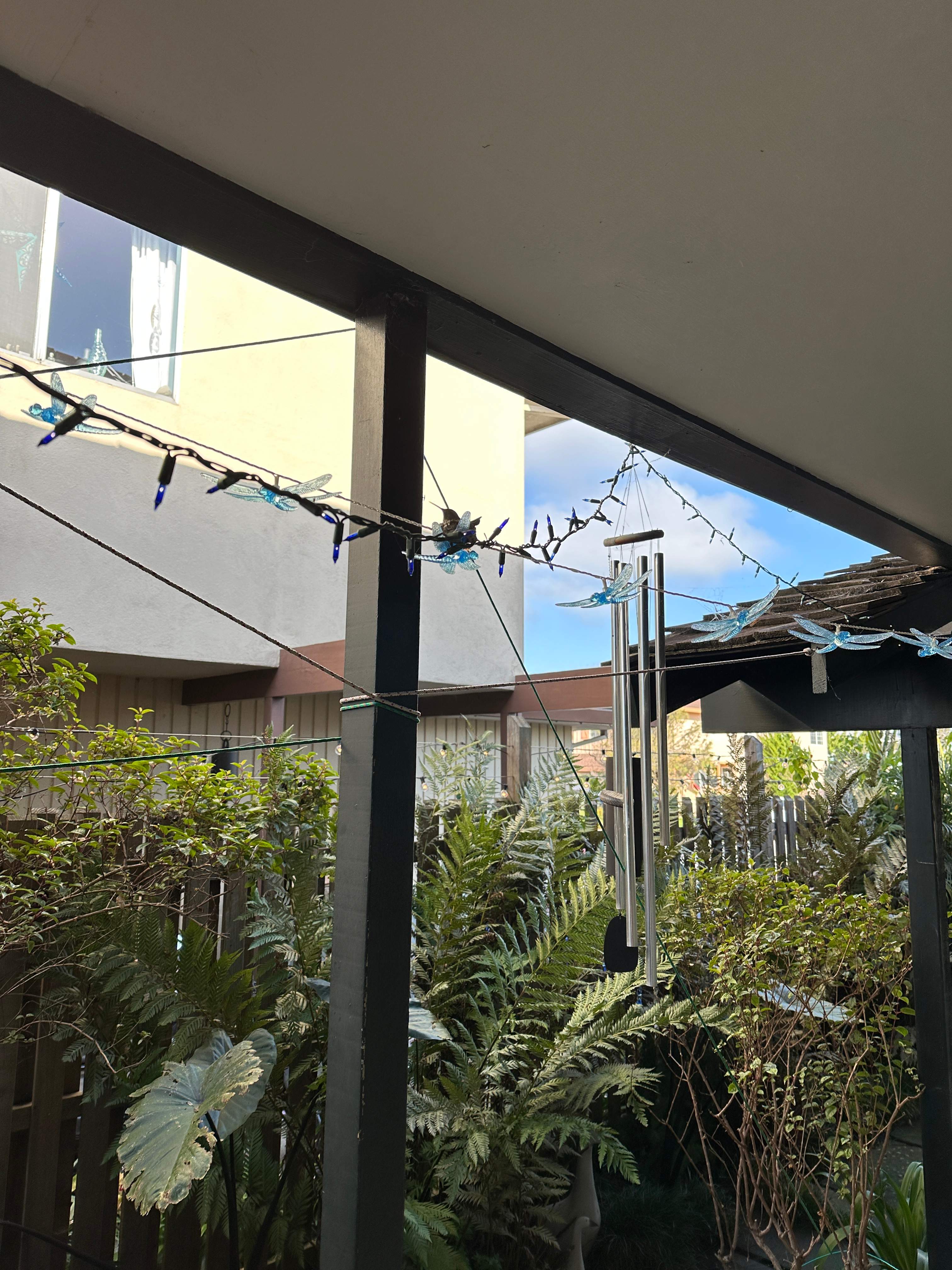 Alameda Interior  by Herrera’s Bay Area Painting inc.