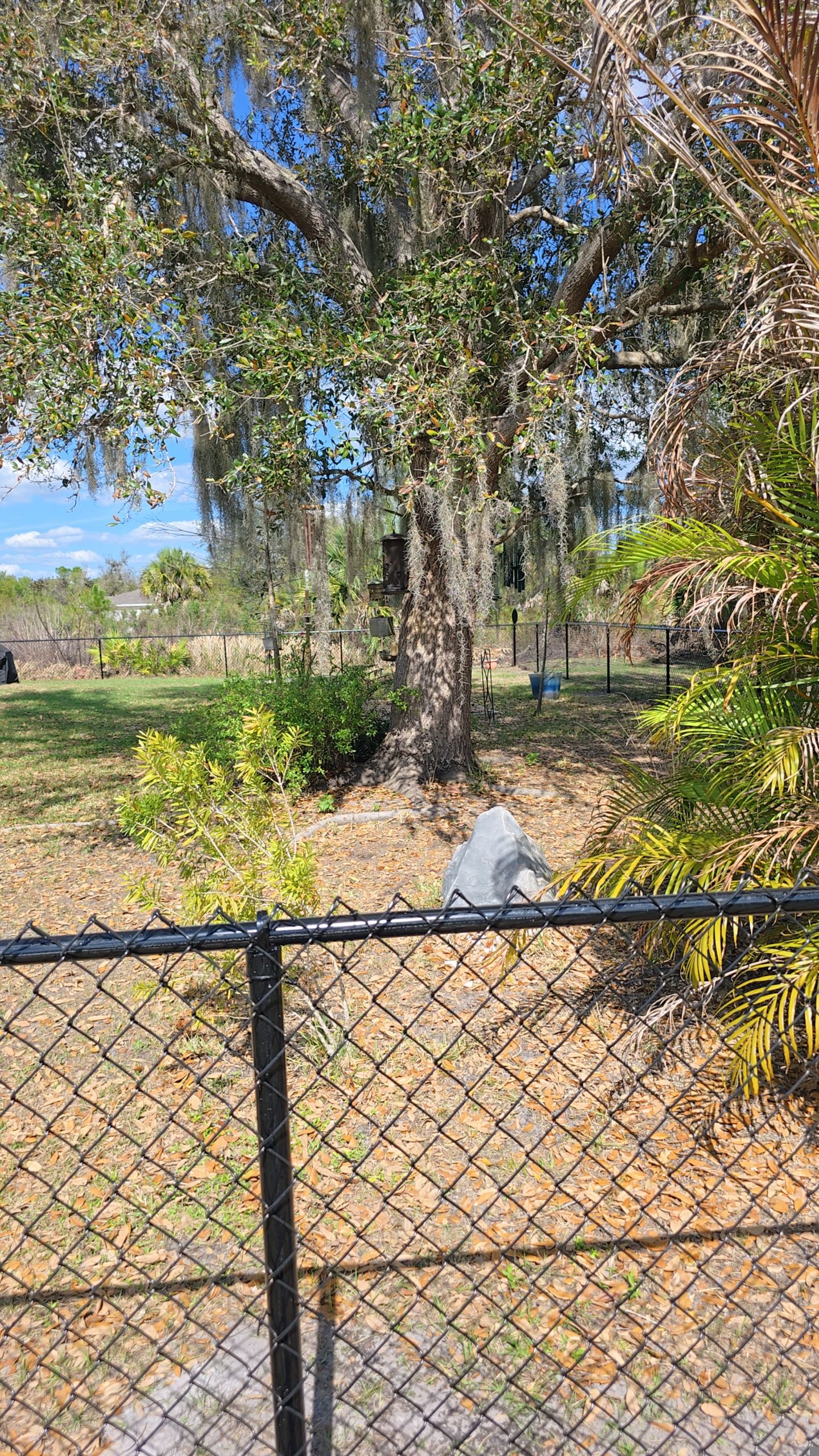 Chain Link Install in North Port by True Fence LLC