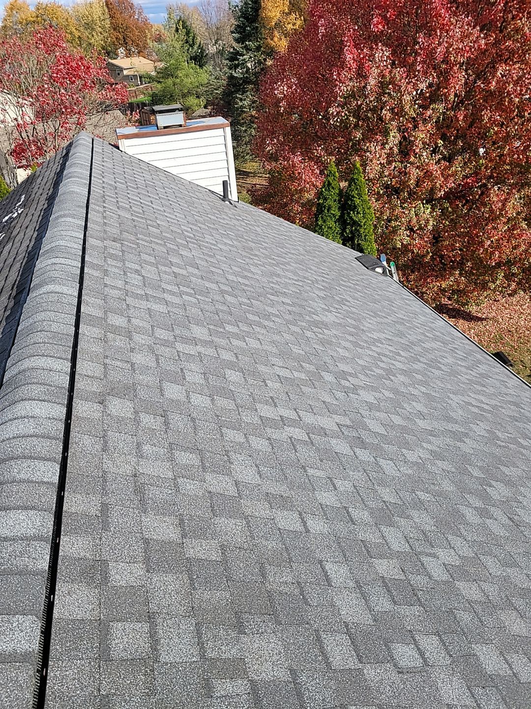 Tanya Gilmer by Silver Leaf Contracting 