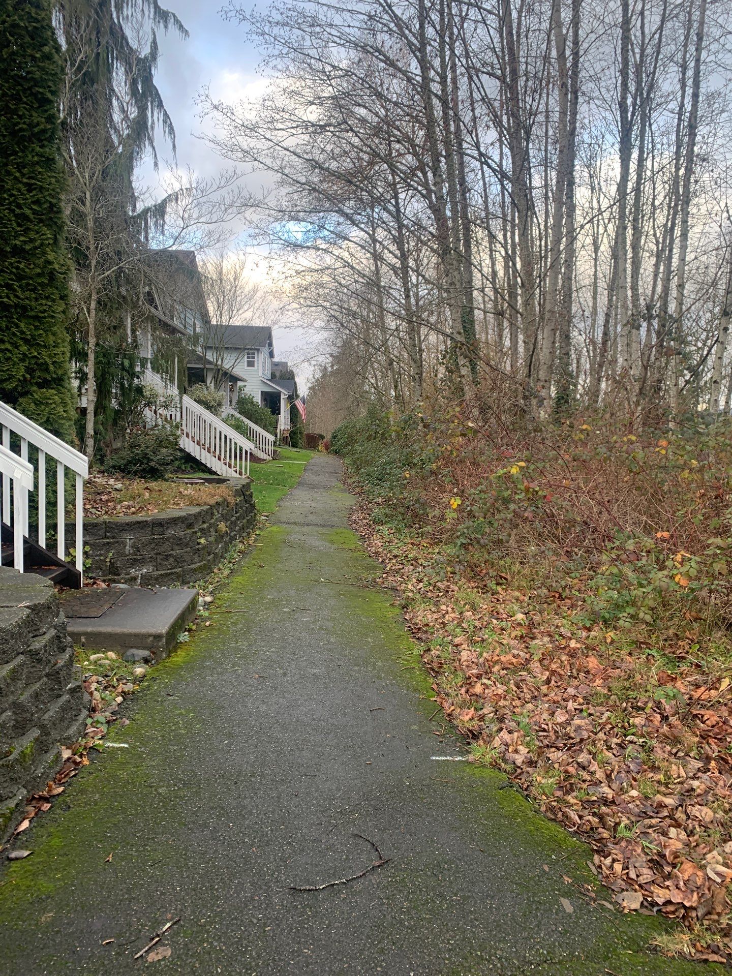 Asphalt Driveway Repair | Lake Stevens  by Jireh Asphalt & Concrete Inc 
