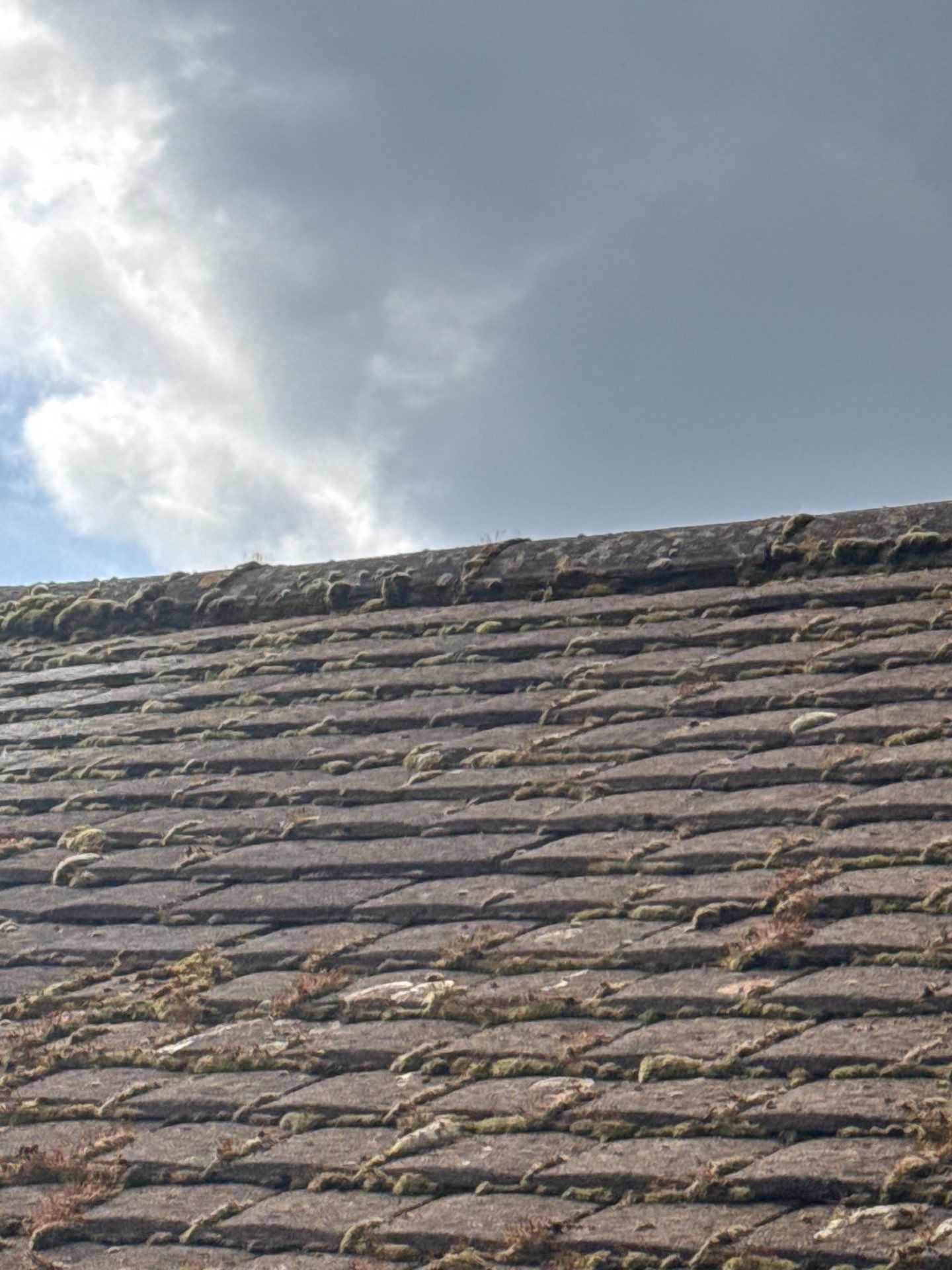 Exterior Clean - Roof - Patio - Driveway using Honda 15lpm Low Pressure Washing Machine by Ges Exterior Cleaning ltd