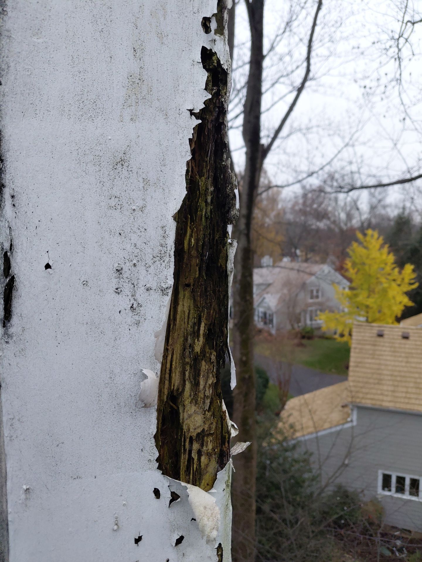 Reston :  Residential Roof Replacement with Brava Synthetic Cedar Shake Class C Natural  by RM Banning, Inc.