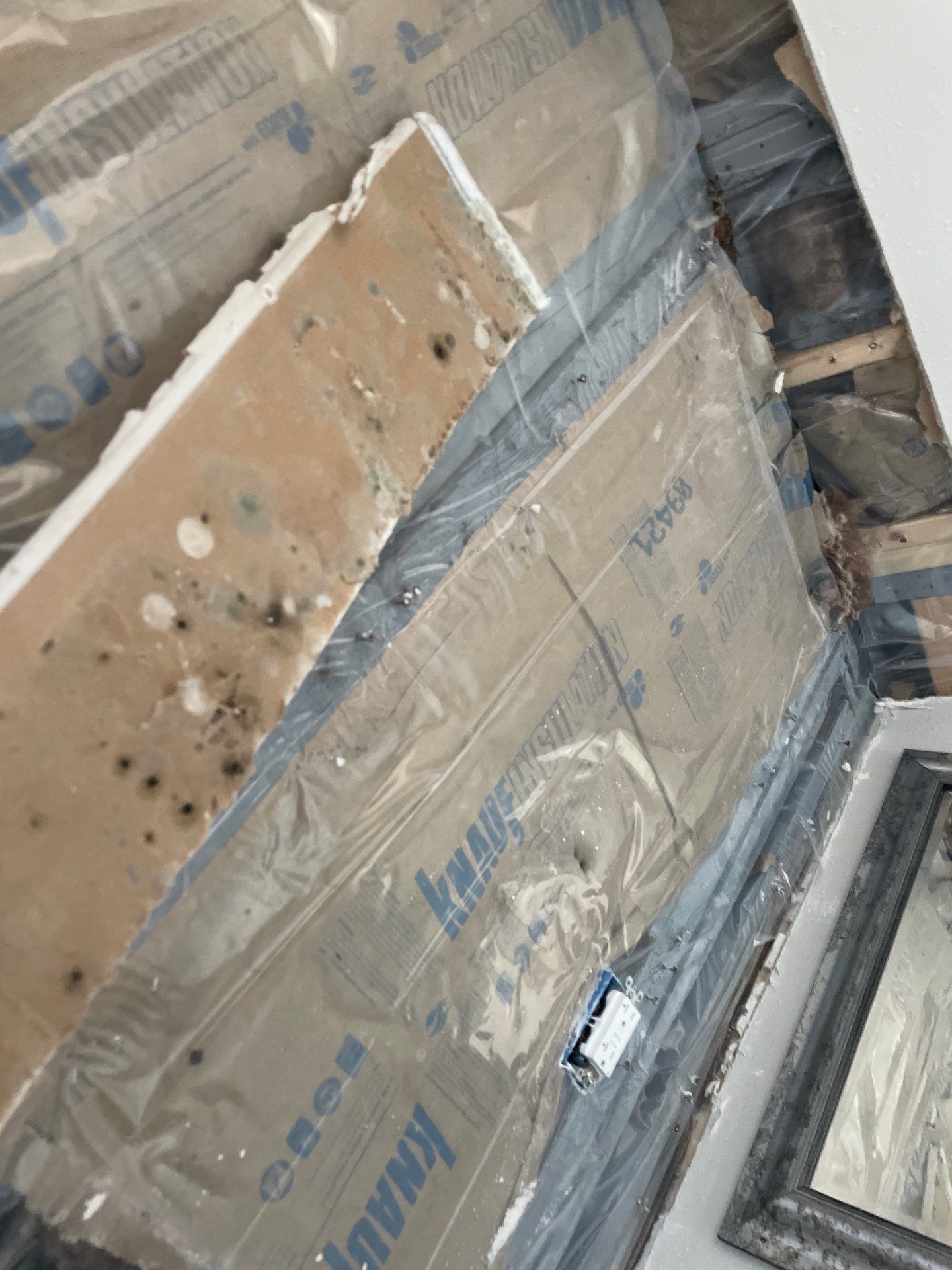 Water & Mold Remediation  by Dry Source Property Restoration 