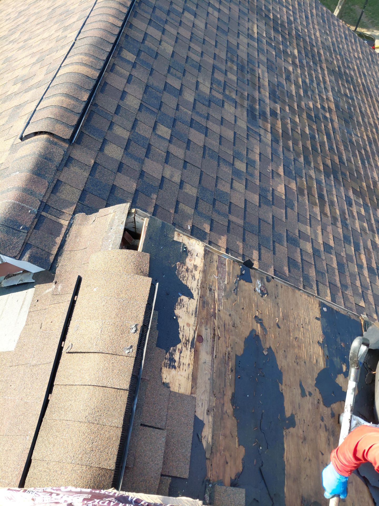 Alexandria: Residential Roof with CertainTeed Landmark Pro in Max Def Burnt Sienna by RM Banning, Inc.