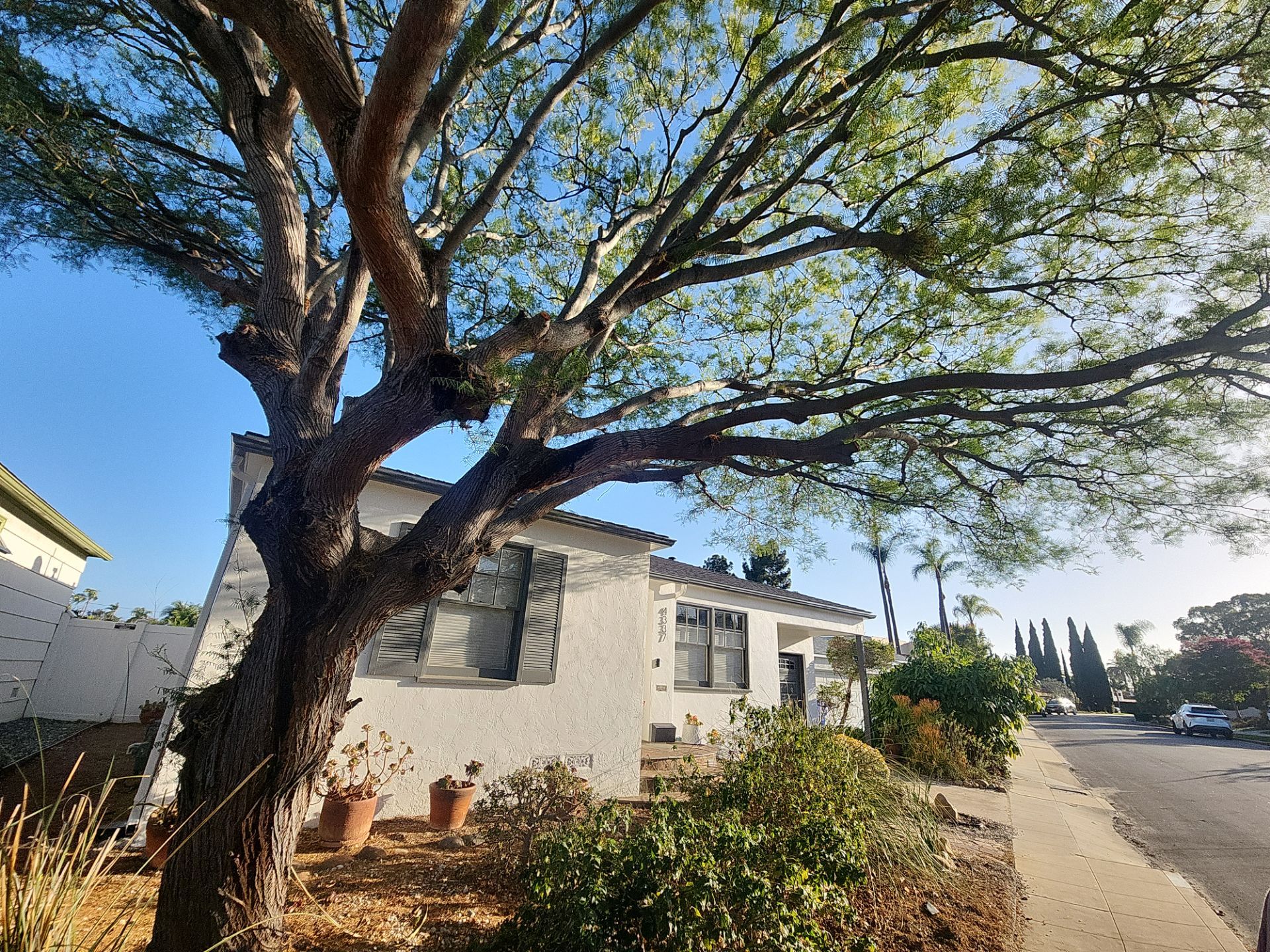 Xeriscape Transformation with River Rock and Irrigation in San Diego by Yard Techs