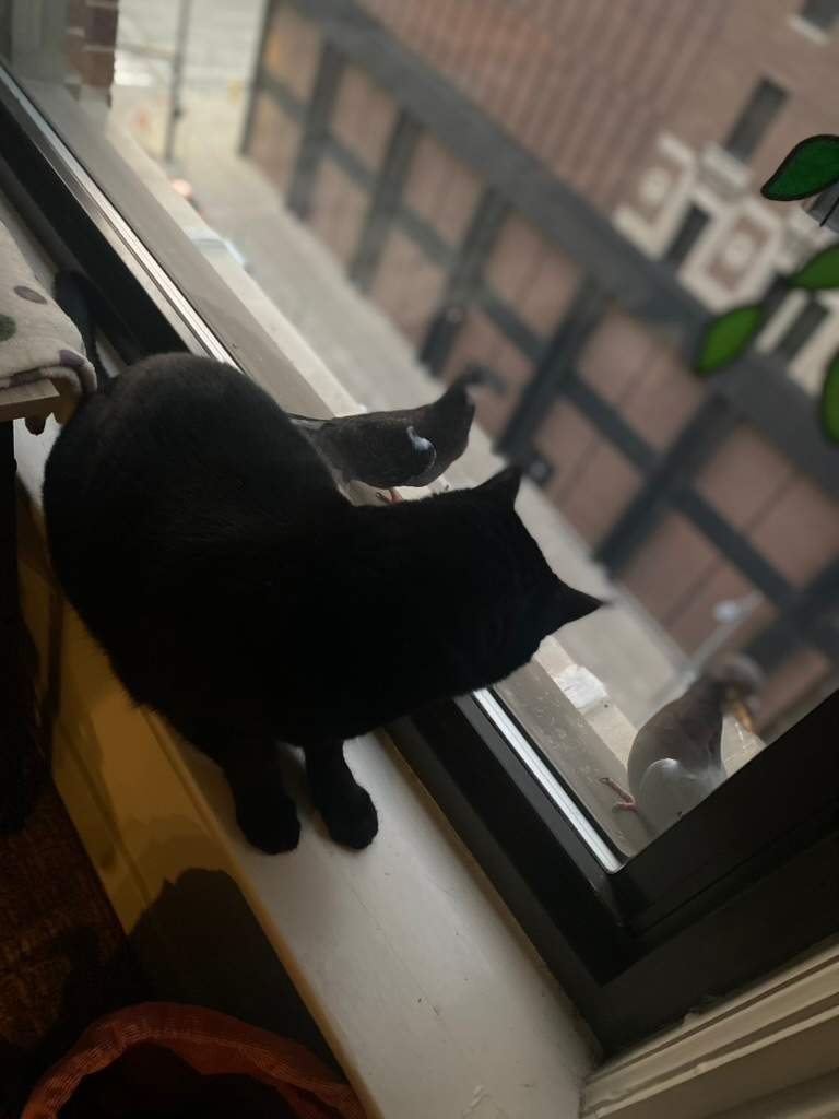 Testing Photo Limit by CompanyCam