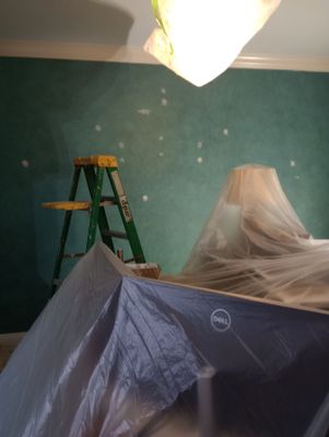 Project repaint
