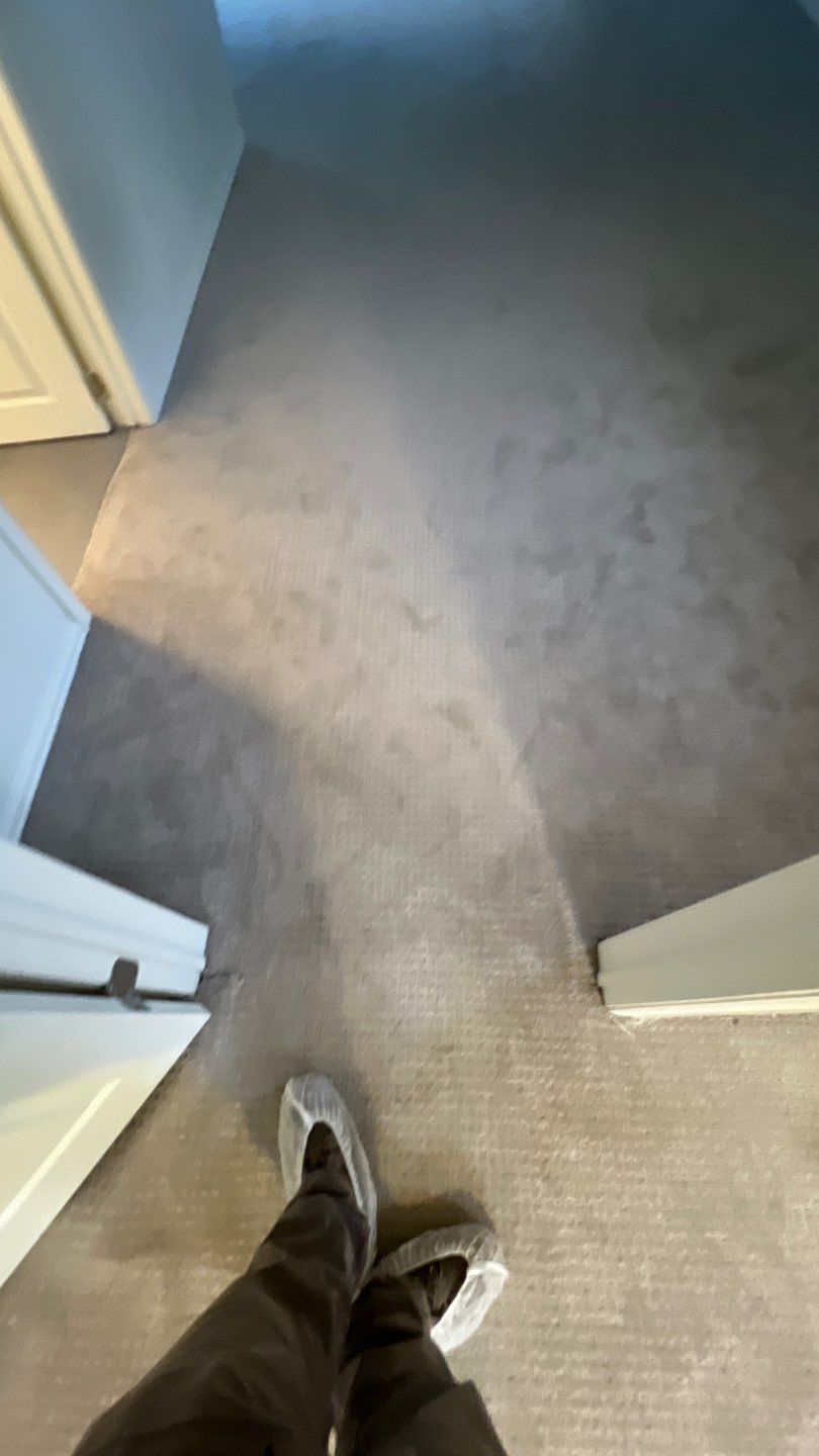 Mold Remediation by Accountable Home Services