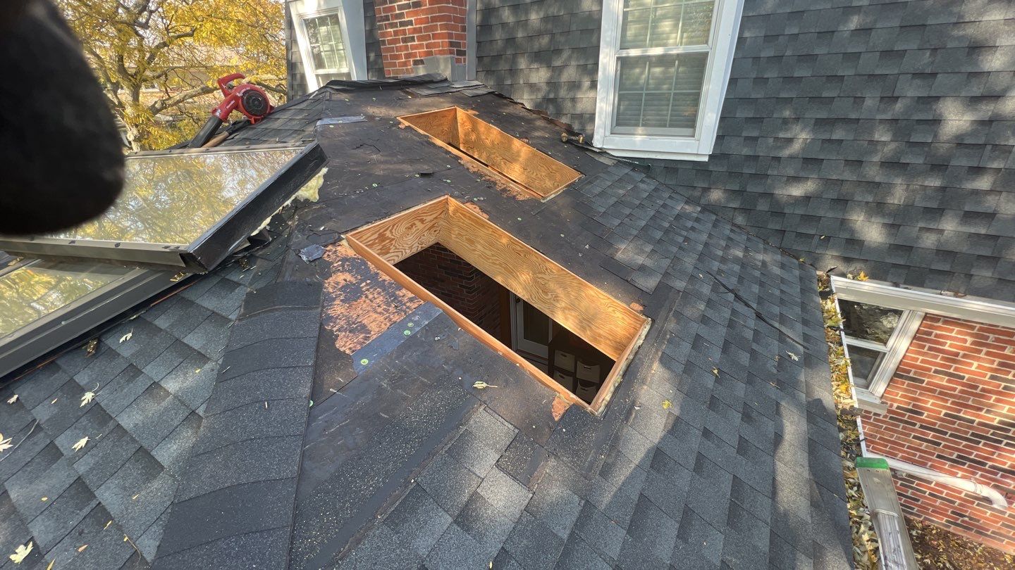 Skylight replacement  by Pro Home Services Inc