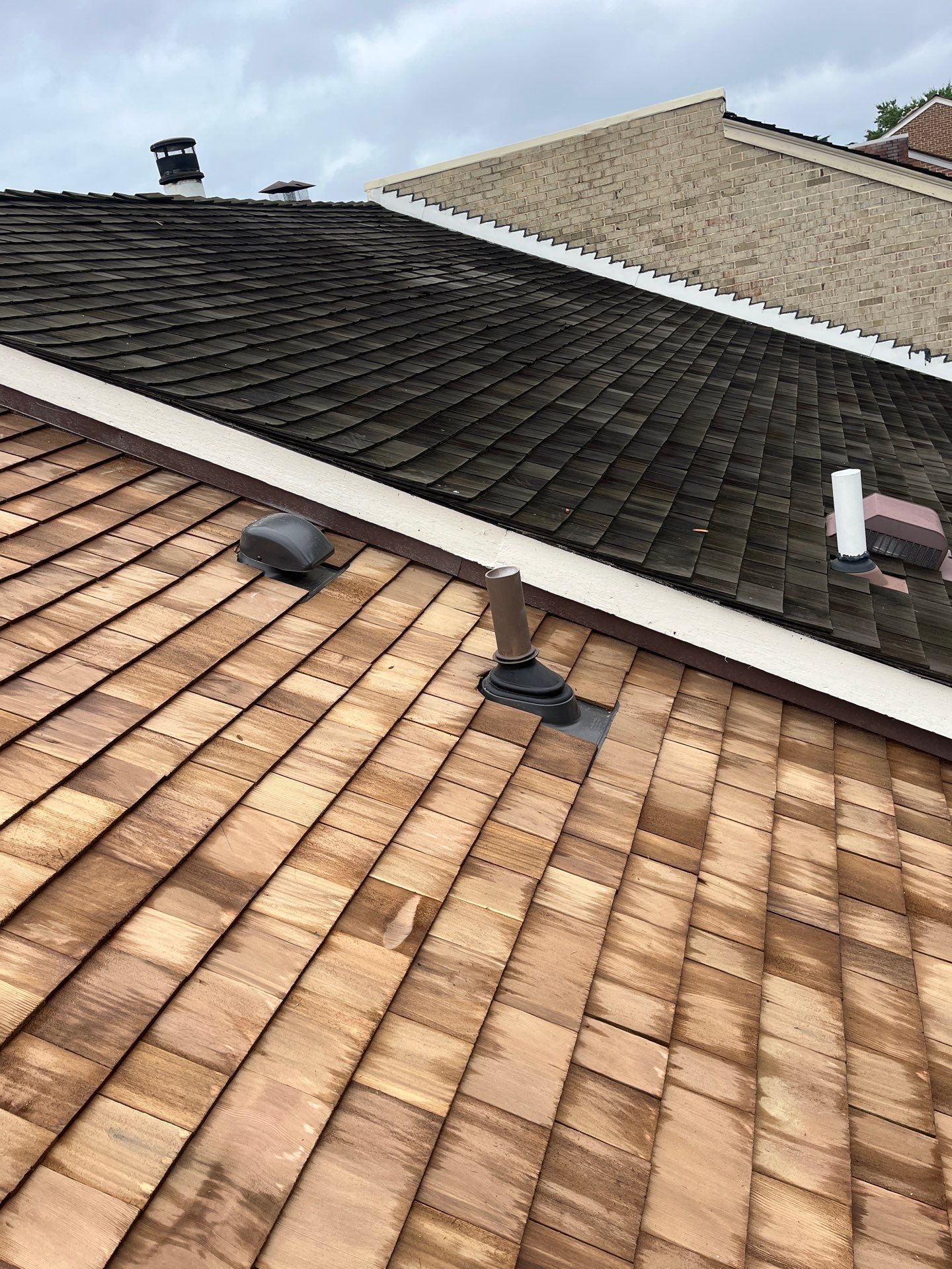 Arlington: Residential Roof Replacement with Perfection CCA-Treated Cedar Shakes by RM Banning, Inc.