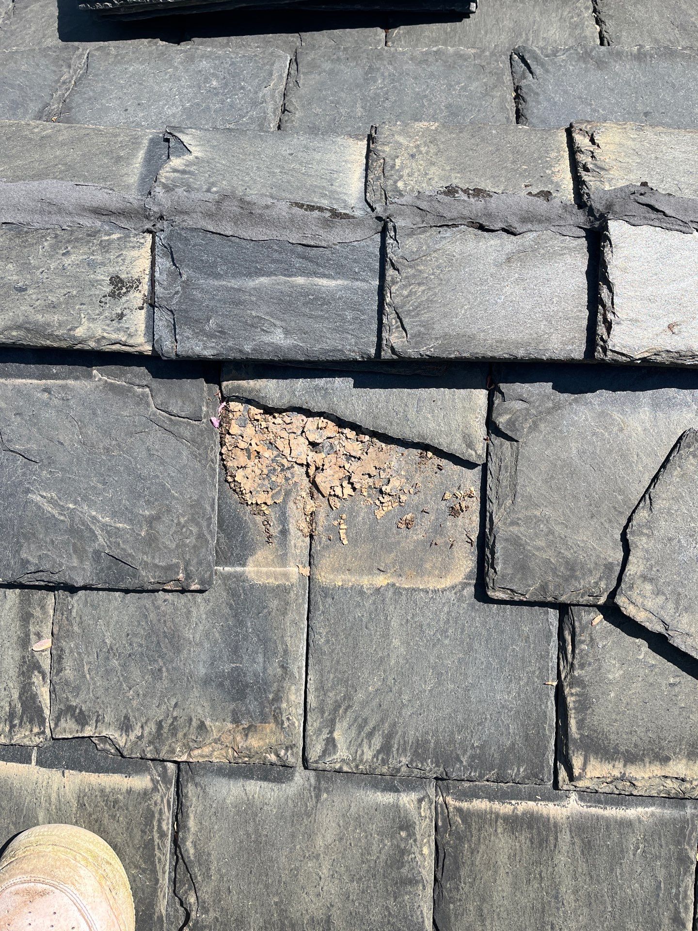 Arlington: Buckingham Slate and Carlisle Syntec TPO Roof by RM Banning, Inc.