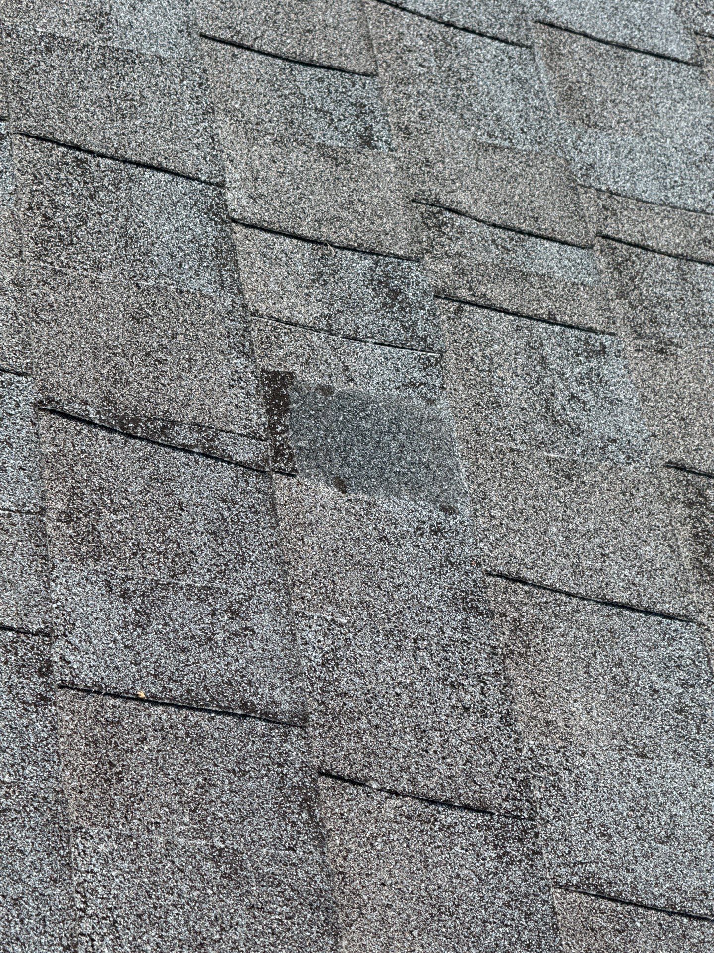 Carol Calhoun by United Contracting and Roofing