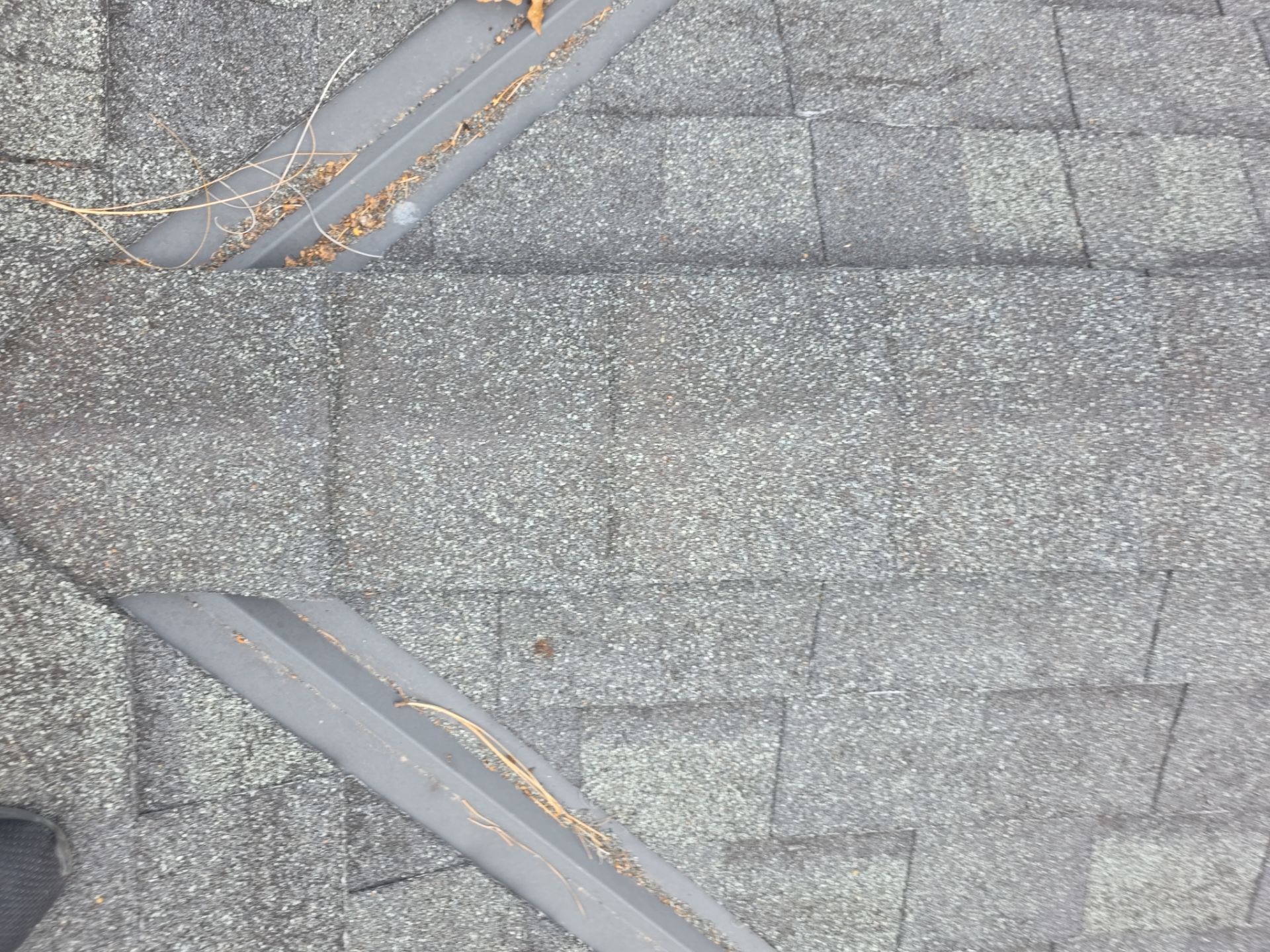 Roof Rejuvenation using Roof Maxx Treatment by Roof Maxx of Folsom