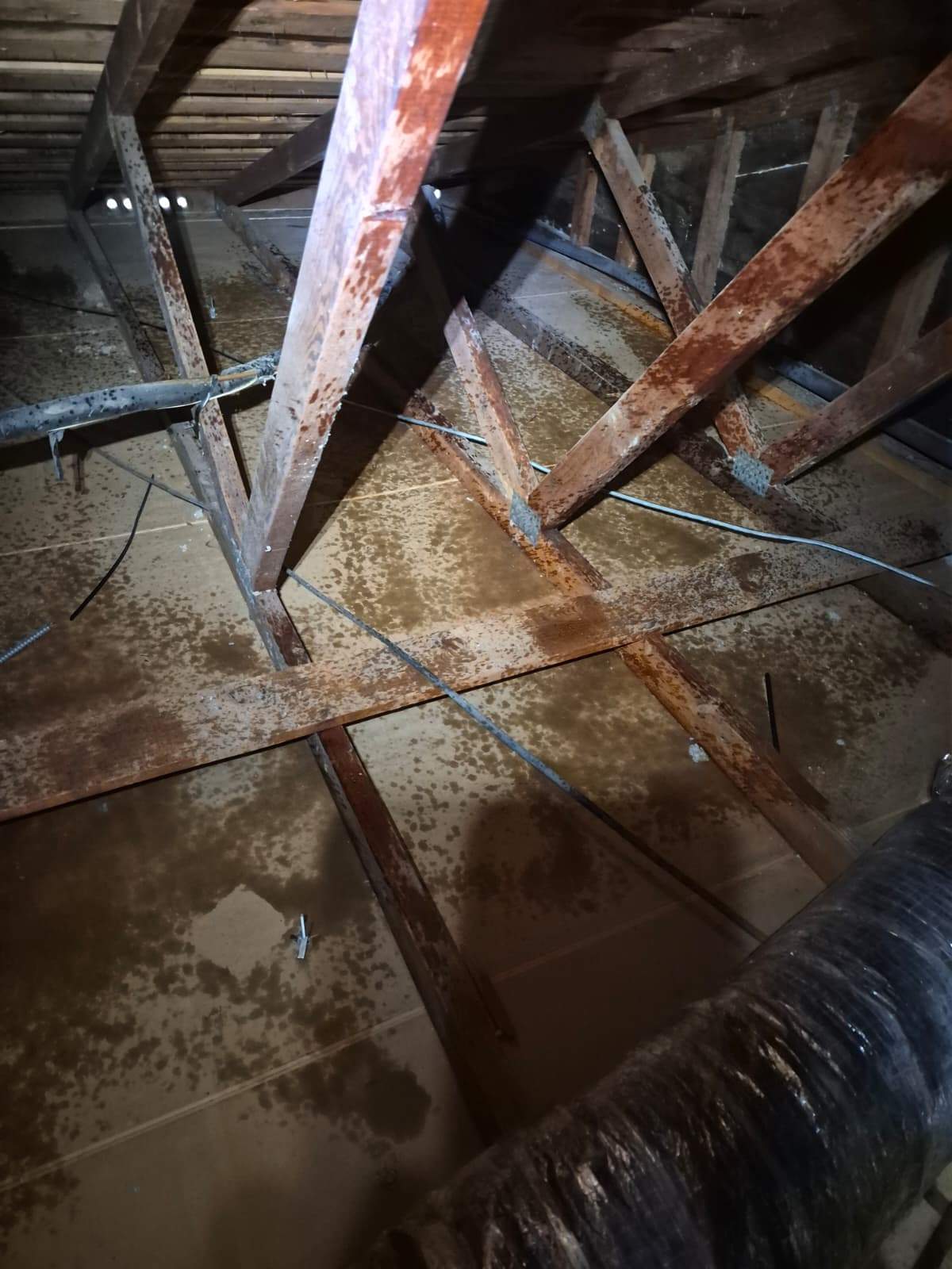 Project by Advanced Attic Solutions by Advanced Attic Solutions