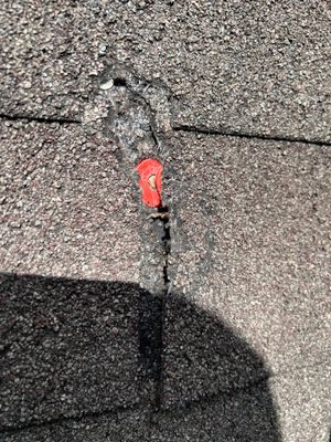 Hail Inspection Woodlands