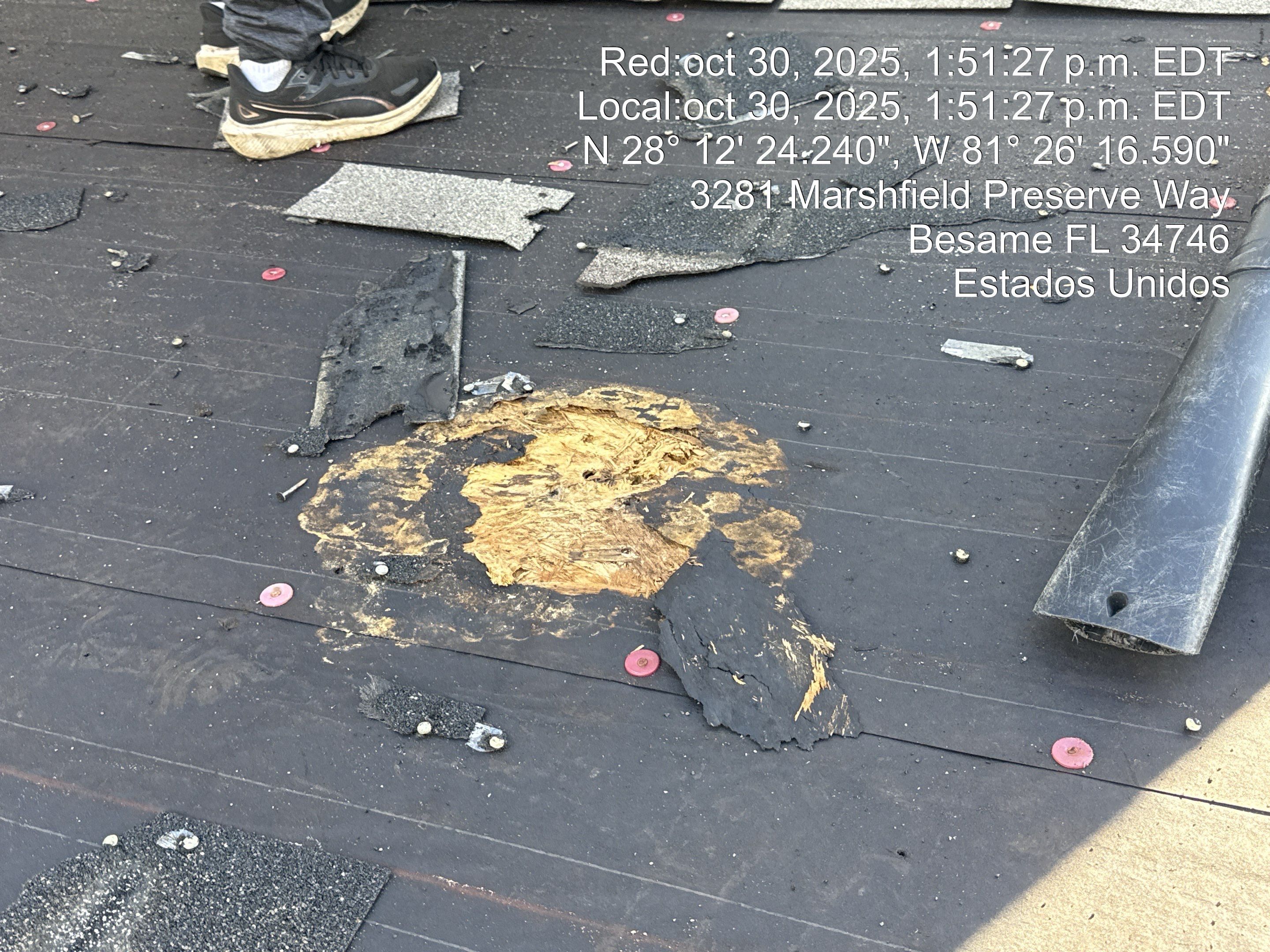 Project in Kissimmee by You Restorations LLC DBA YOU-Home