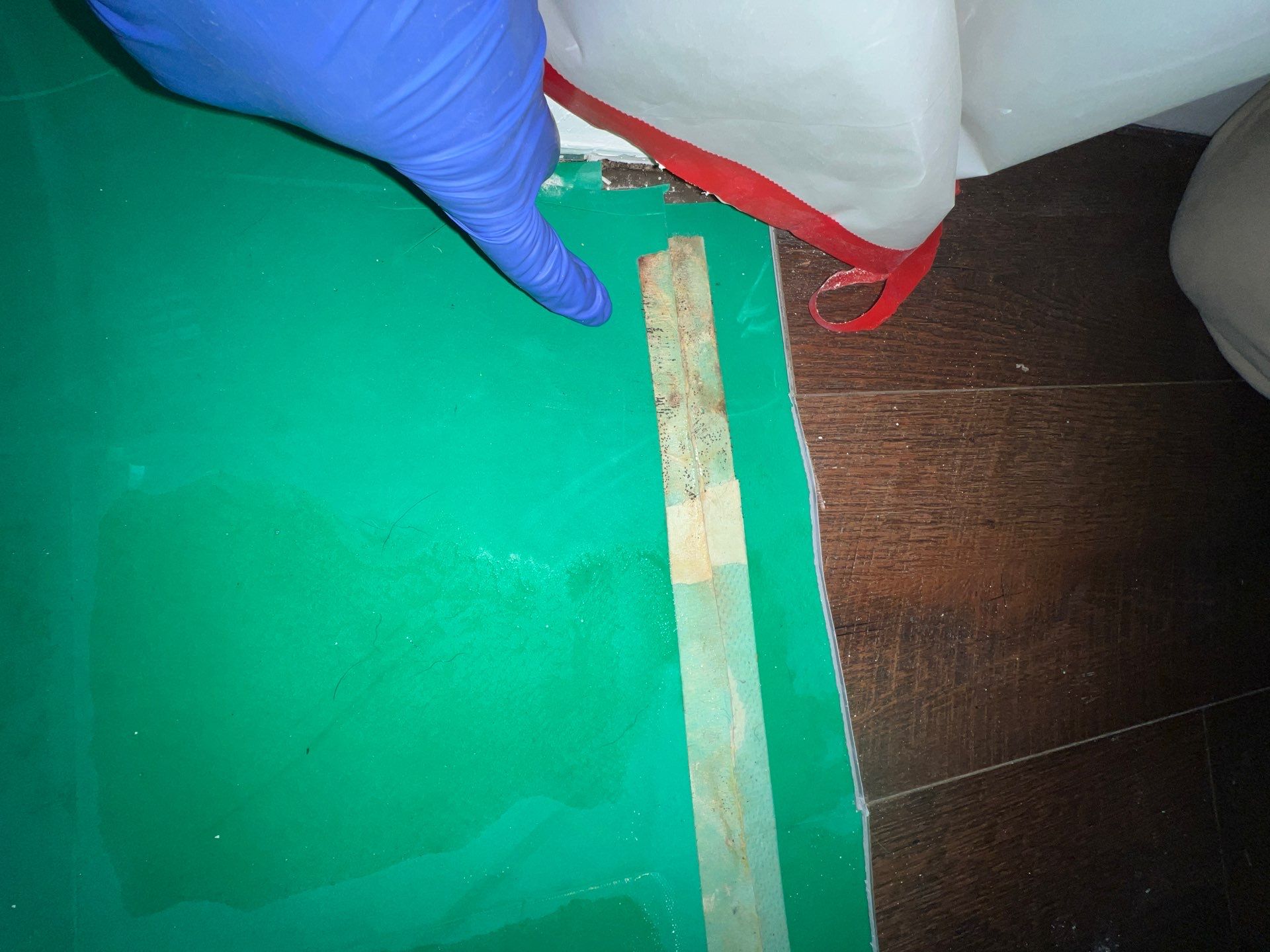 Stansell - water and mold photos  by THE RAPID TEAM