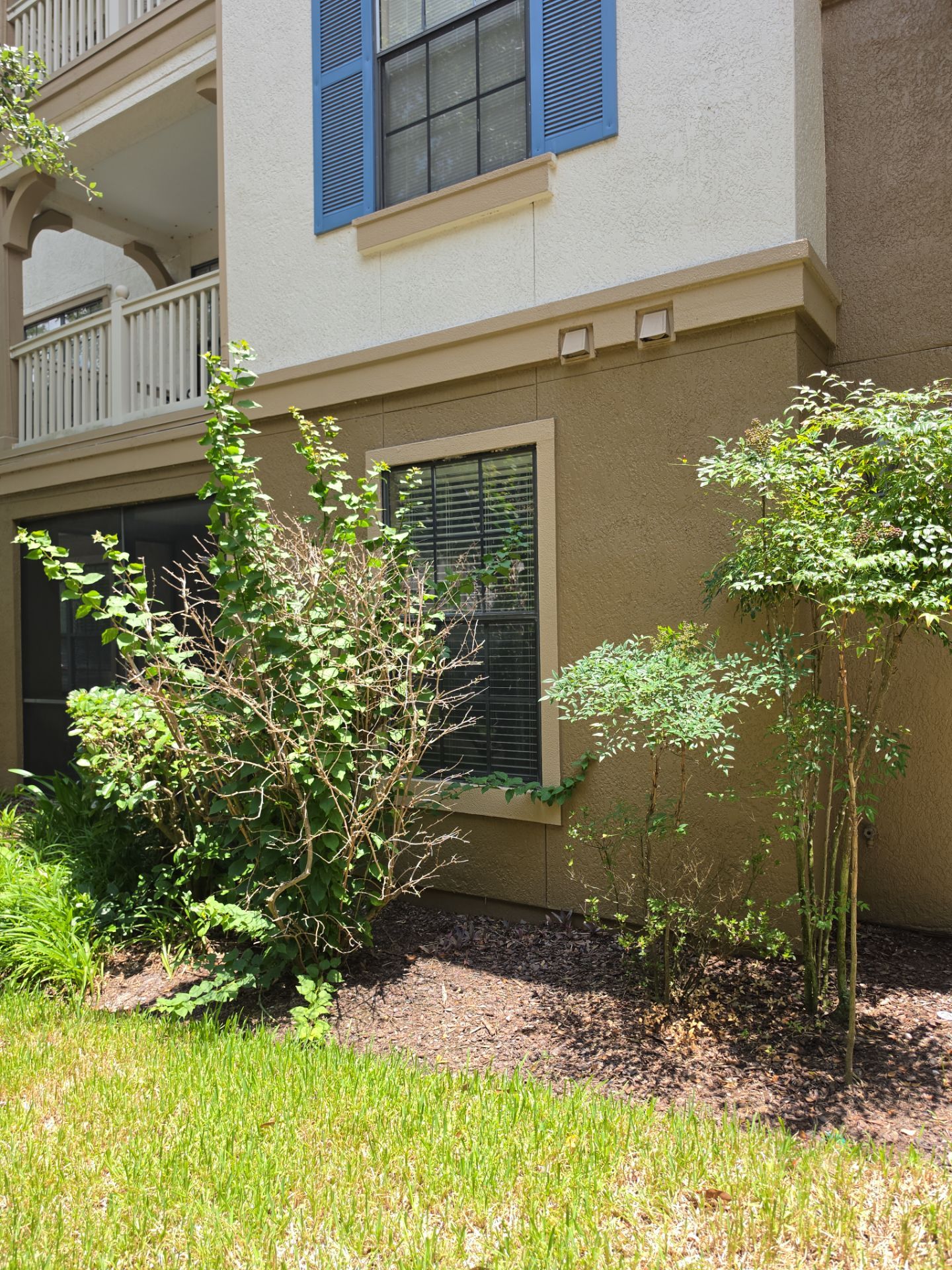Andersen Window Replacement and Installation in Jacksonville, Florida by Windows & Doors Store