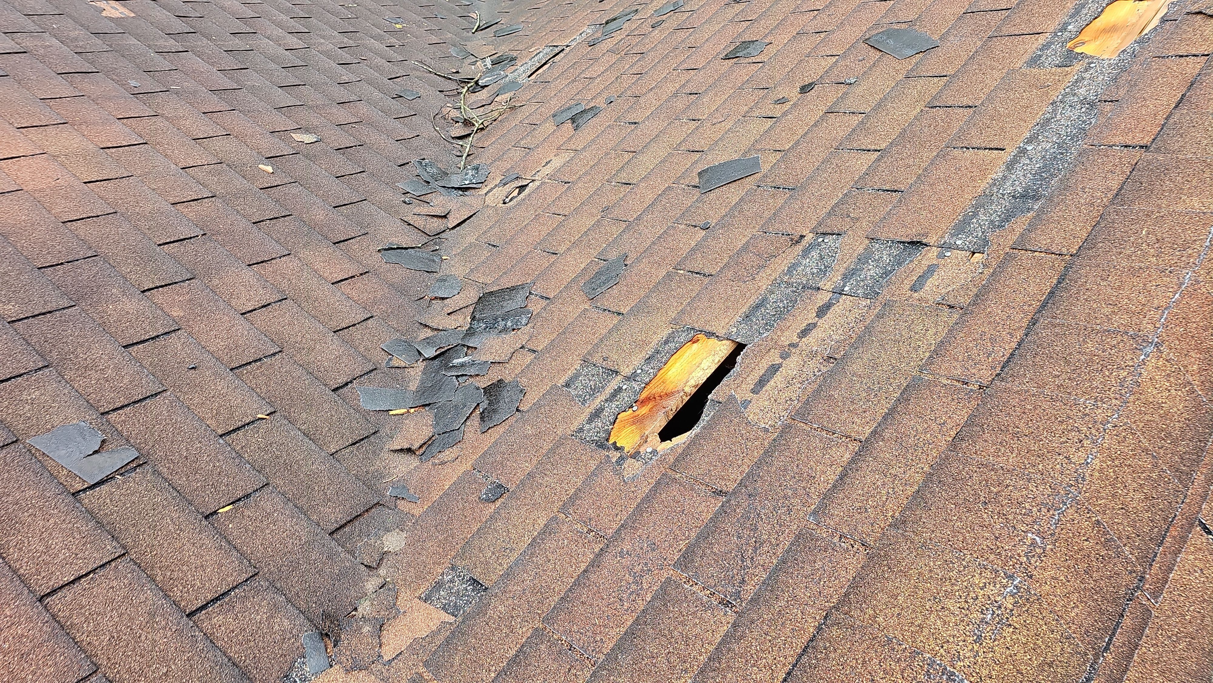 Atlas Pinnacle, Color, Morning Harvest, Drip Edge, Color, Royal Brown by Eagle Eye Roofing