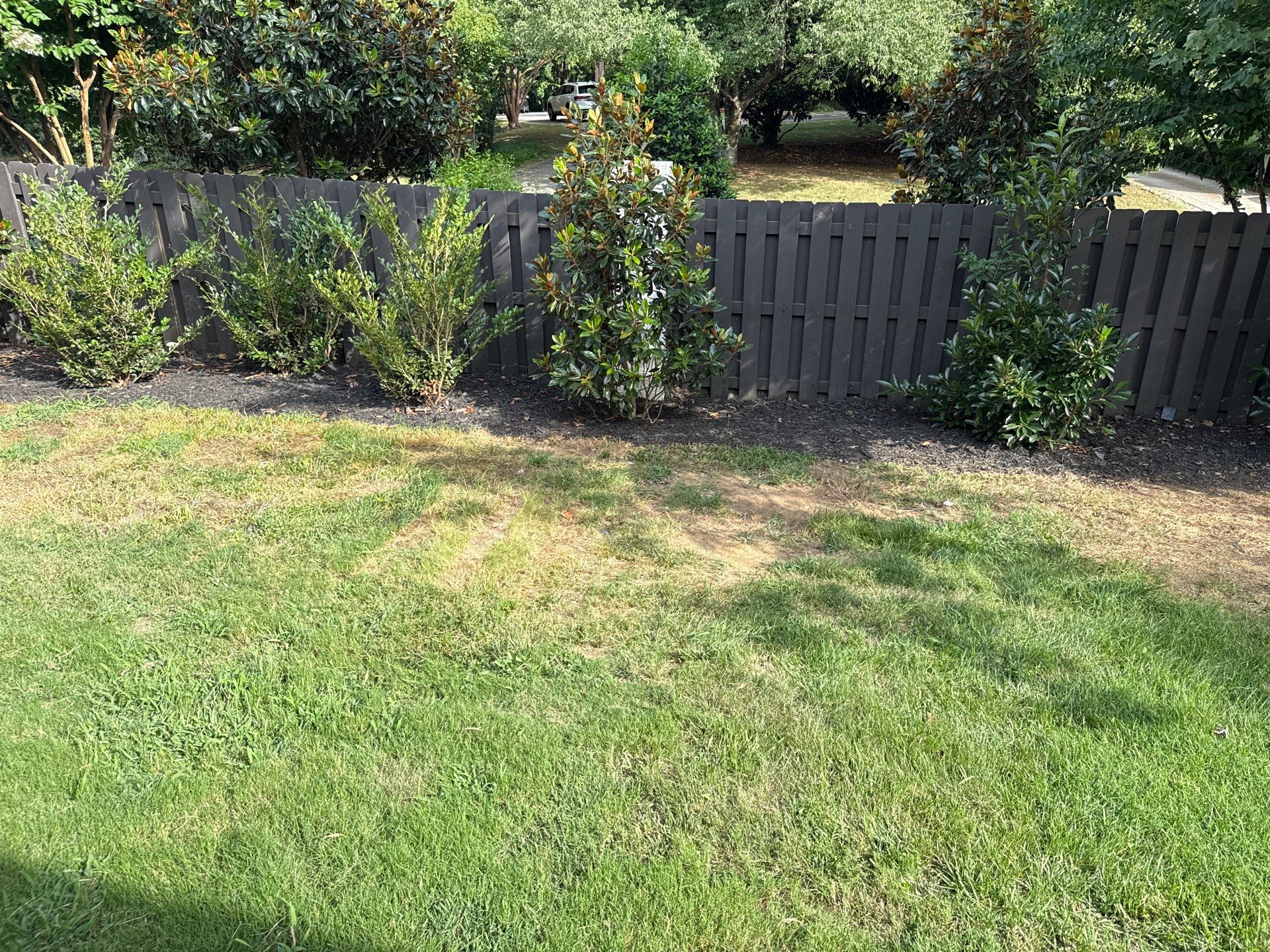 Project in Charlotte by Badger Hauling