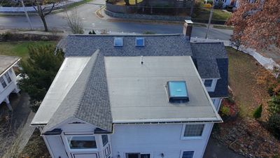 Project in Newton