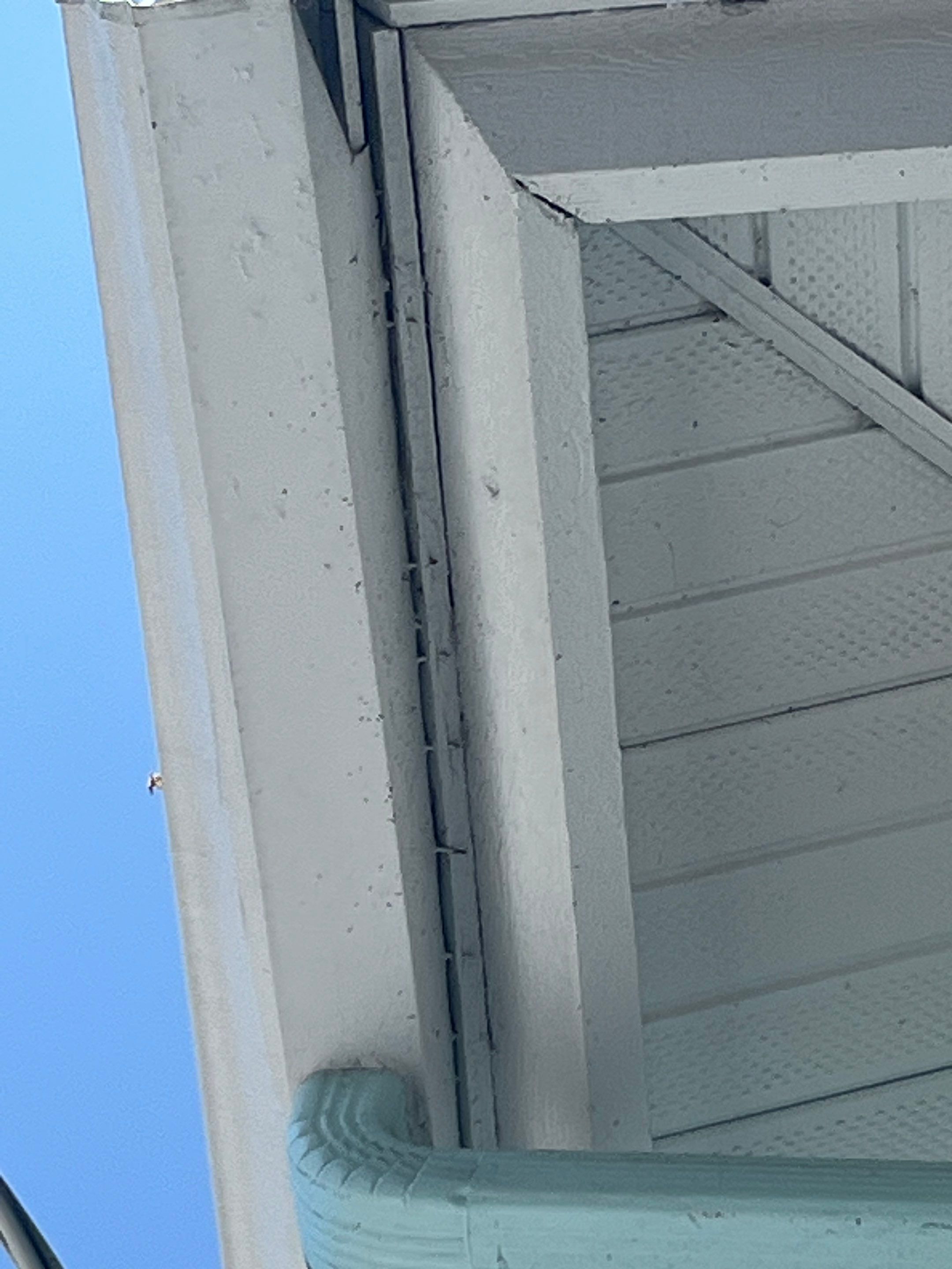 Leaf Guard System for Sarasota Homeowners by Gutter Professors