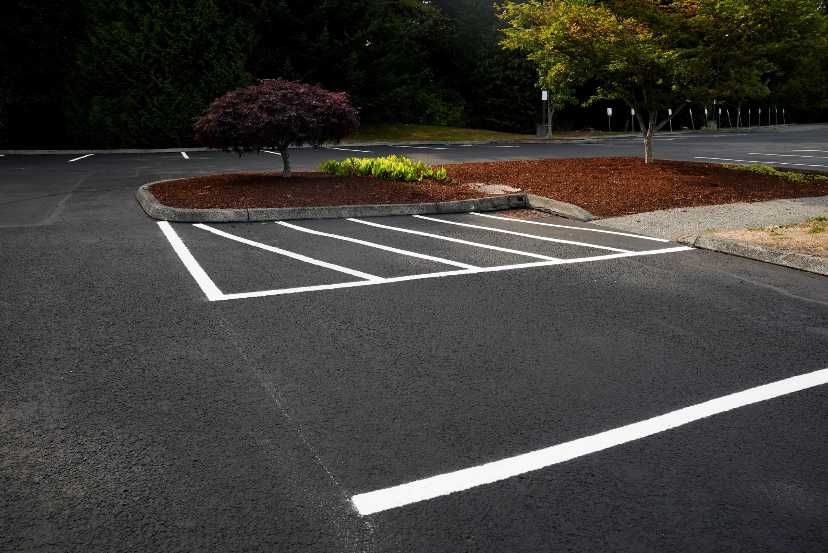 Sealcoating & Asphalt Patch Repairs | Everett  by Jireh Asphalt & Concrete Inc 
